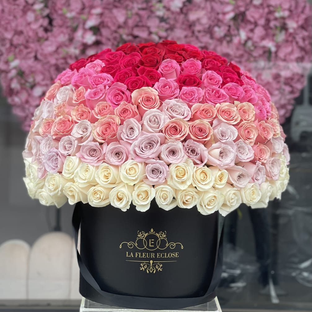 Large dome of pink and cream roses in a black hat box
