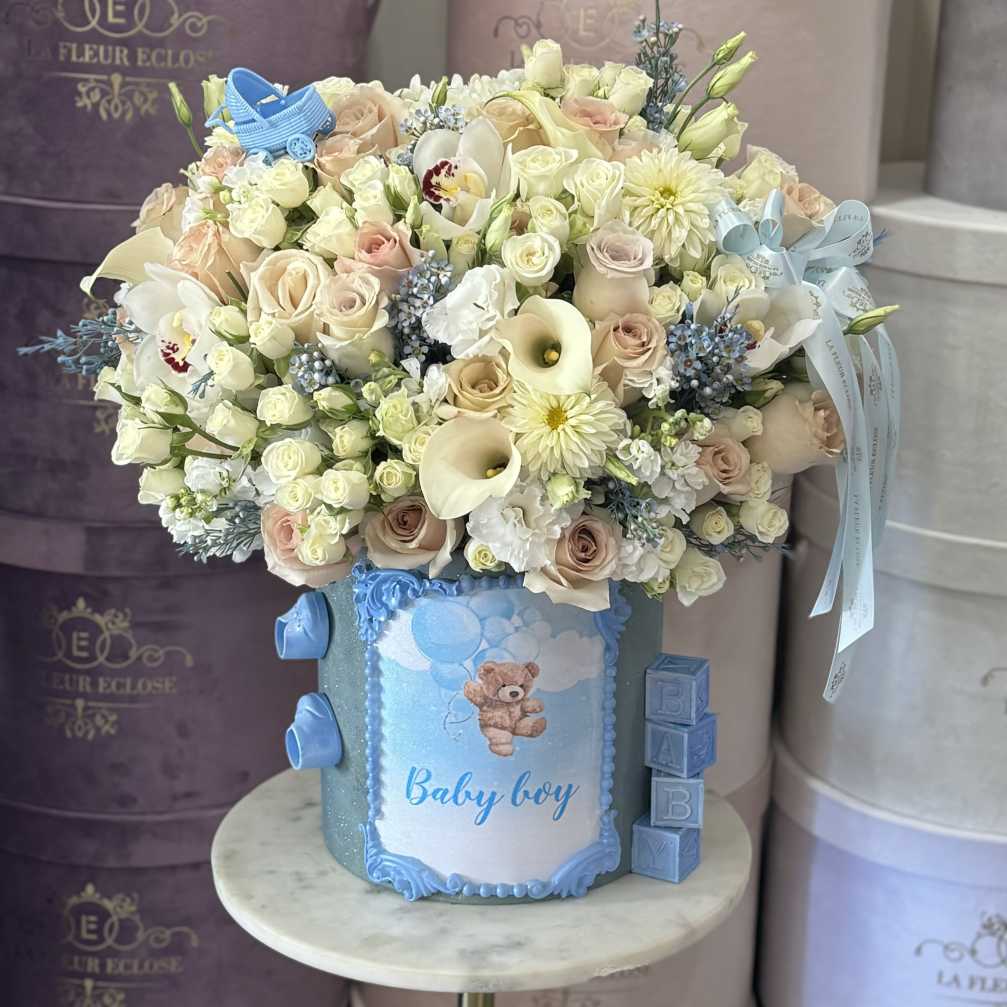 Baby boy box