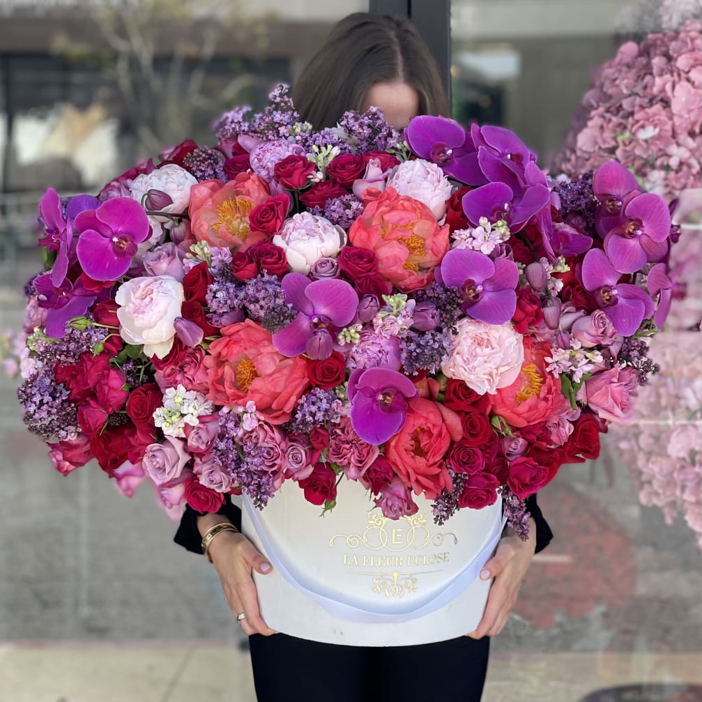 Orchid Delight