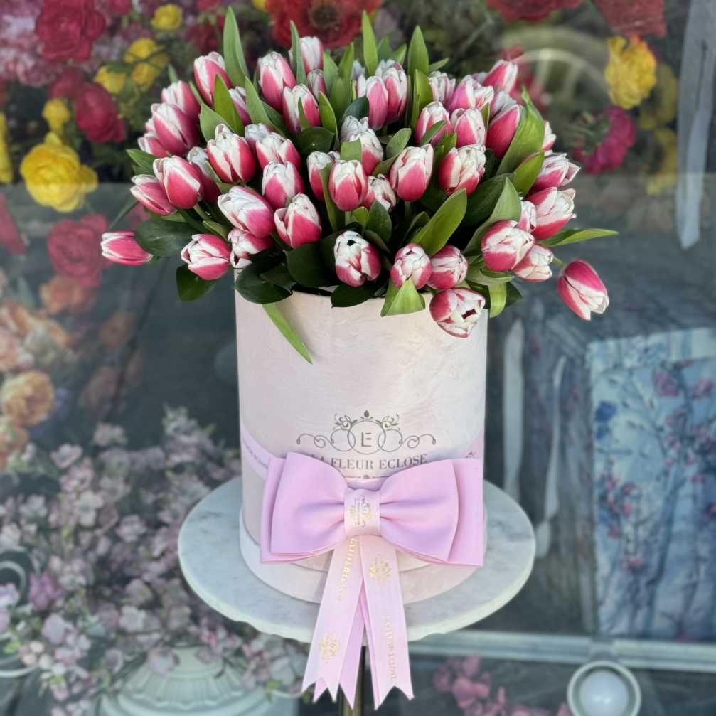 70 Tulips in a velvet box with a bow