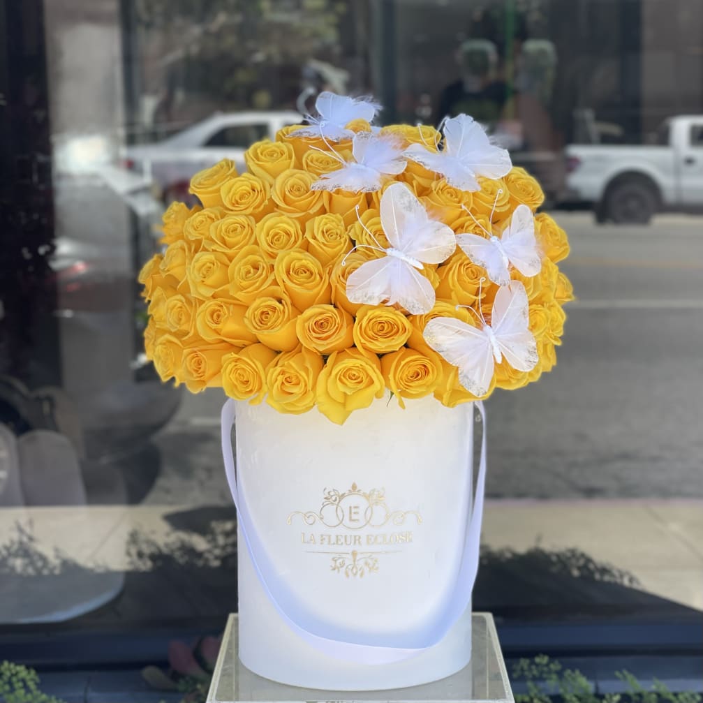 Yellow and white V