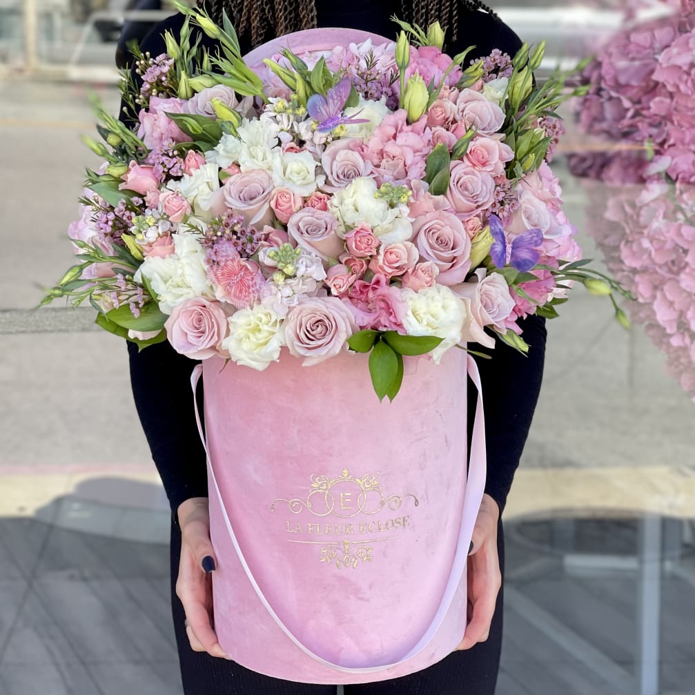 Butterfly Pinks New