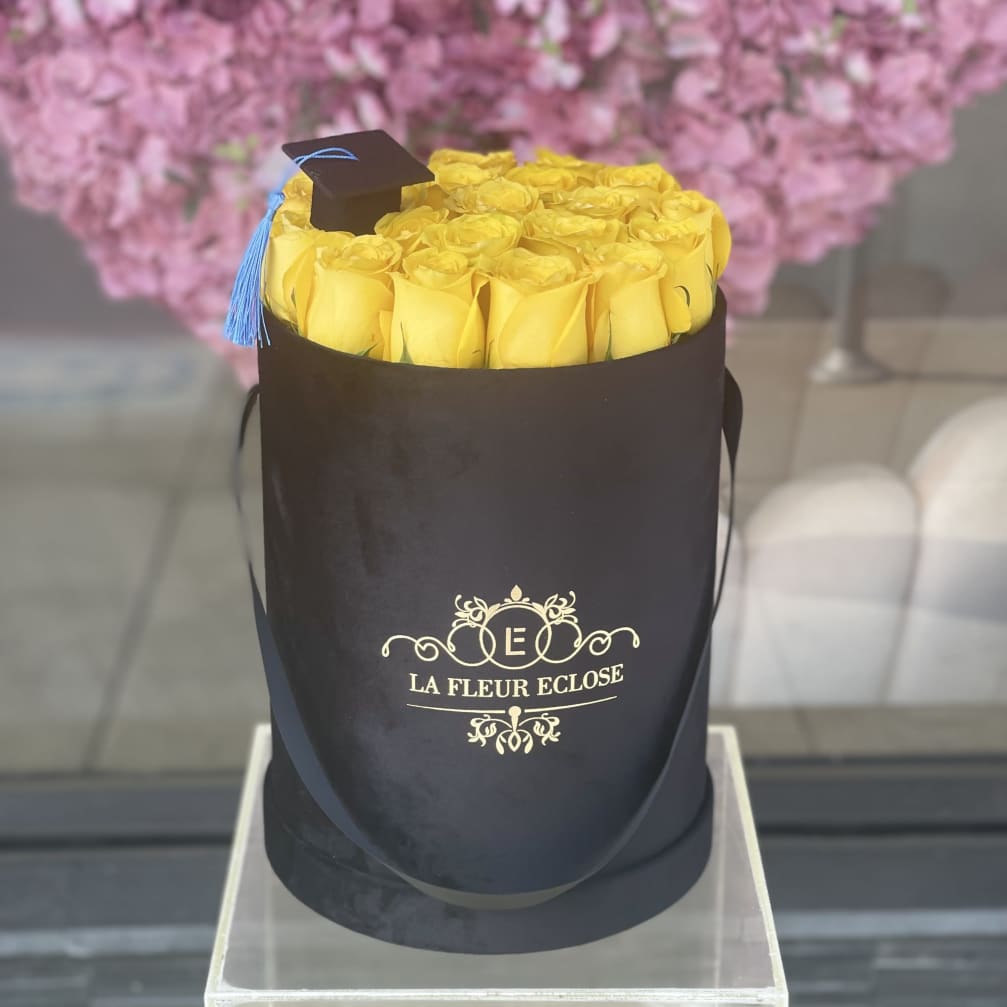 Graduation in Yellow