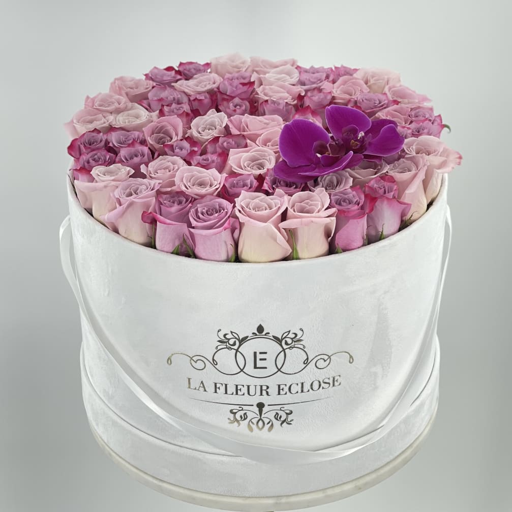 Fresh 70 roses V
