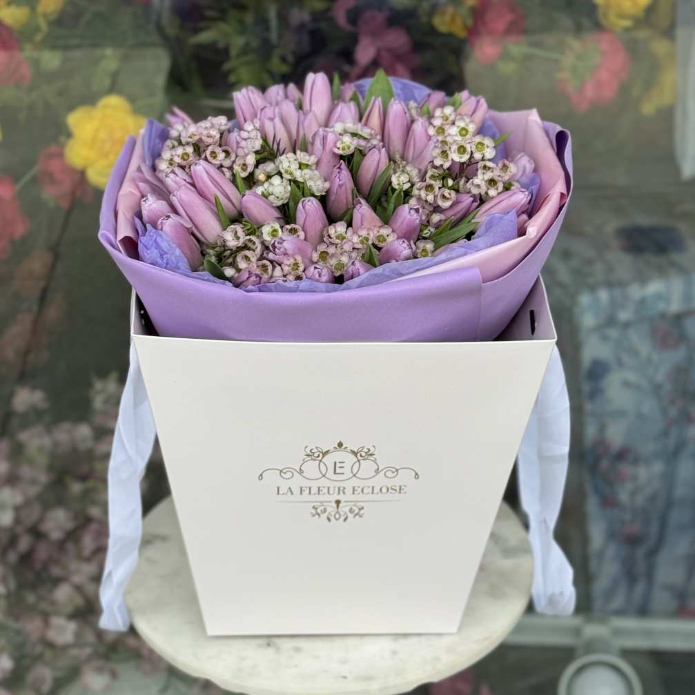 50 Lavender Tulips