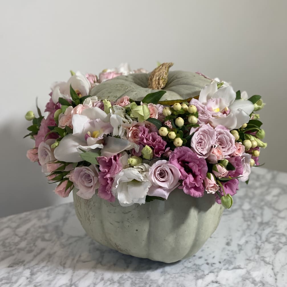 Pastel Pumpkin