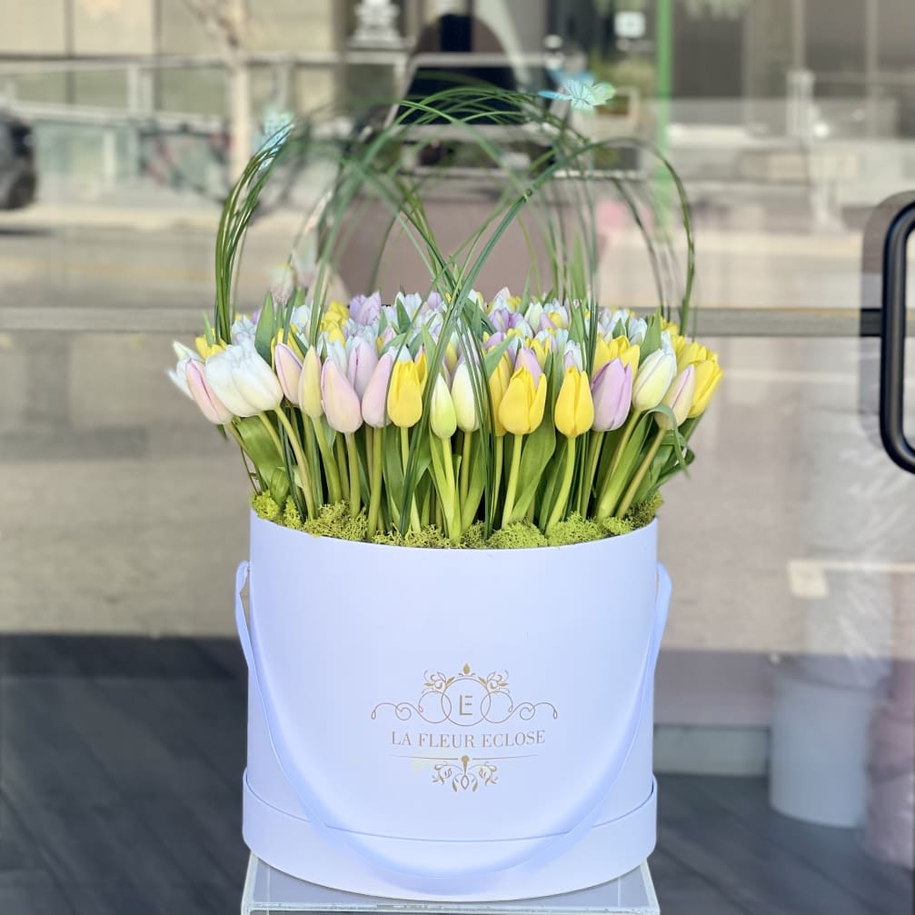 Pastel tulips arranged in a white round box with arched grass stems