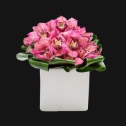 Pink orchids arranged in a white square vase