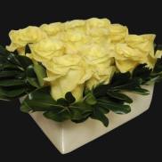 Yellow roses arranged in a low white vase with dark green leaves