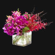 Purple and pink orchid arrangement in a clear square vase