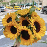 Handheld bouquet of bright yellow sunflowers
