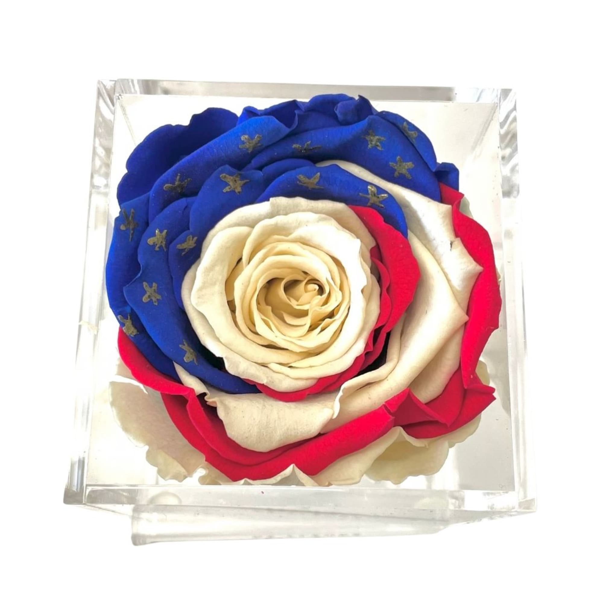Single rose in a clear square box with red, white, and blue petals