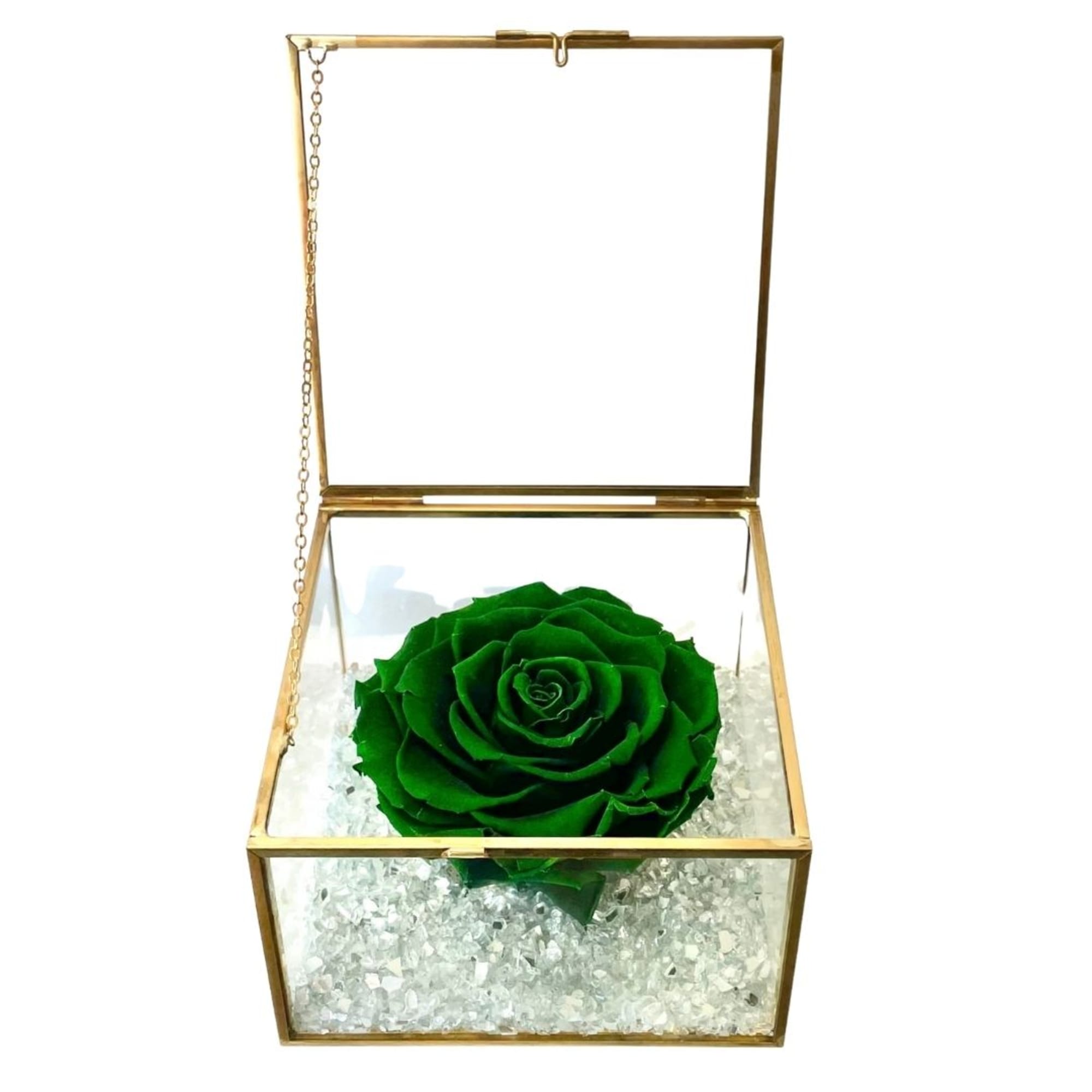 Single green rose in a gold glass box with clear filler