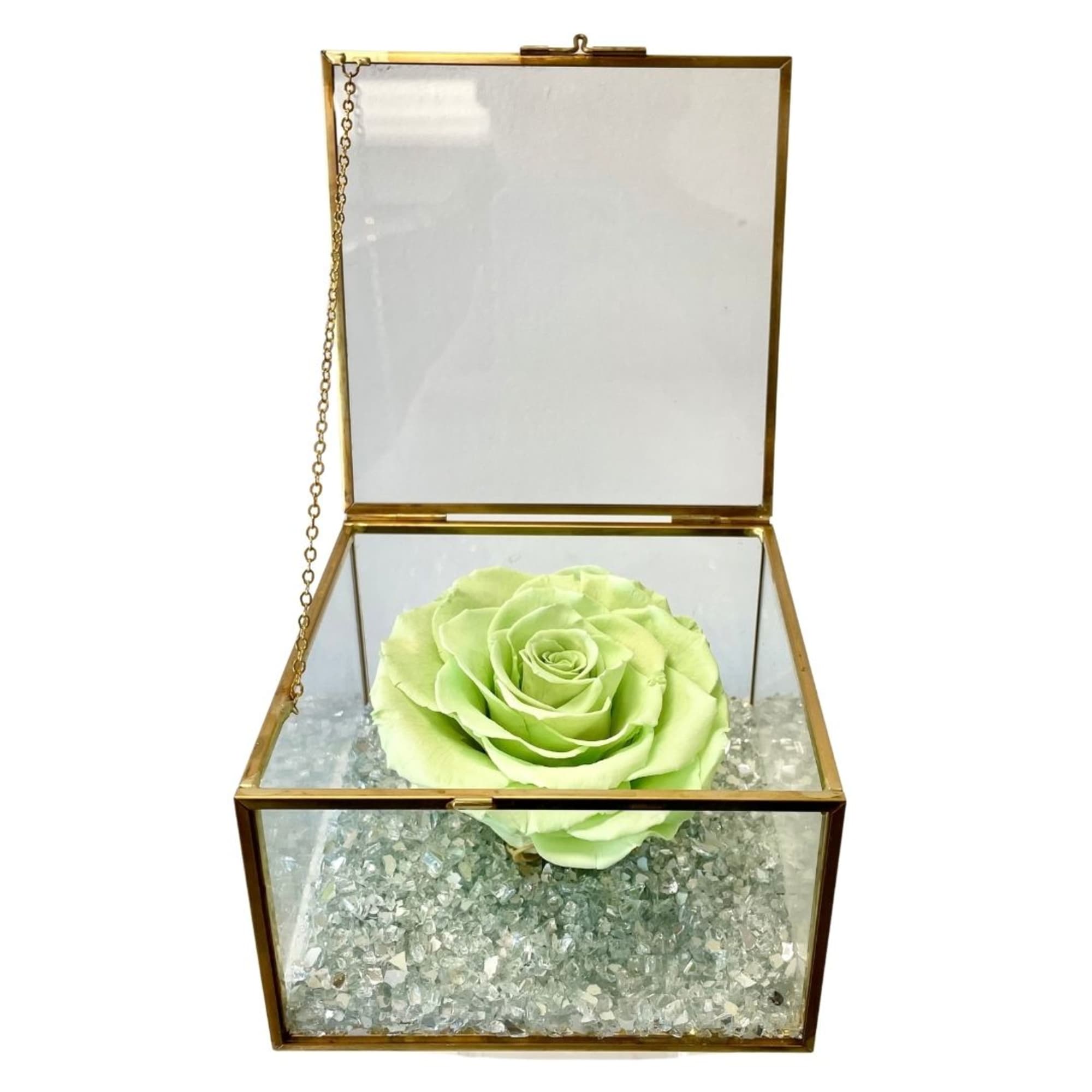 Single pale green rose in a glass keepsake box with gold trim