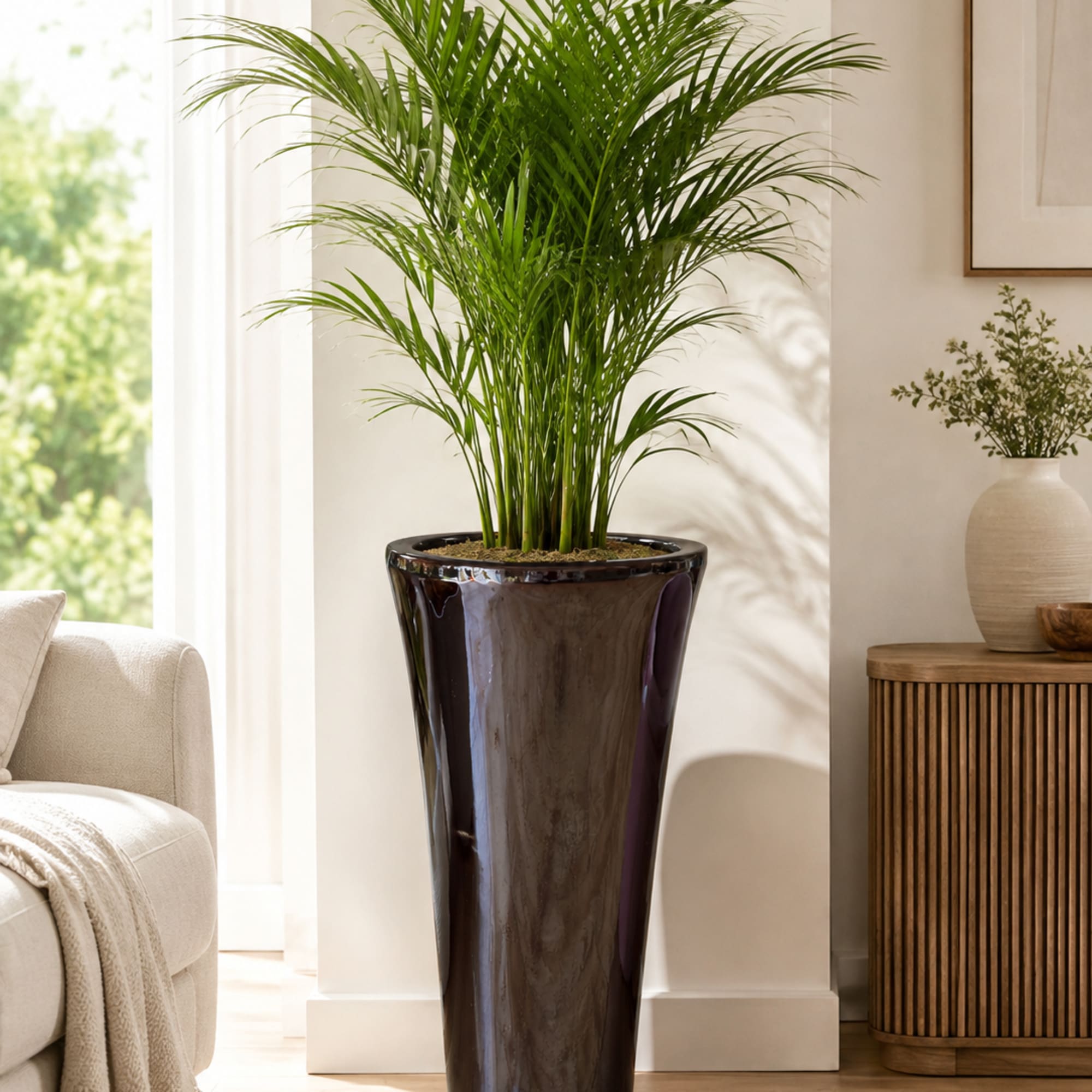 Tall potted palm plant in a glossy dark planter