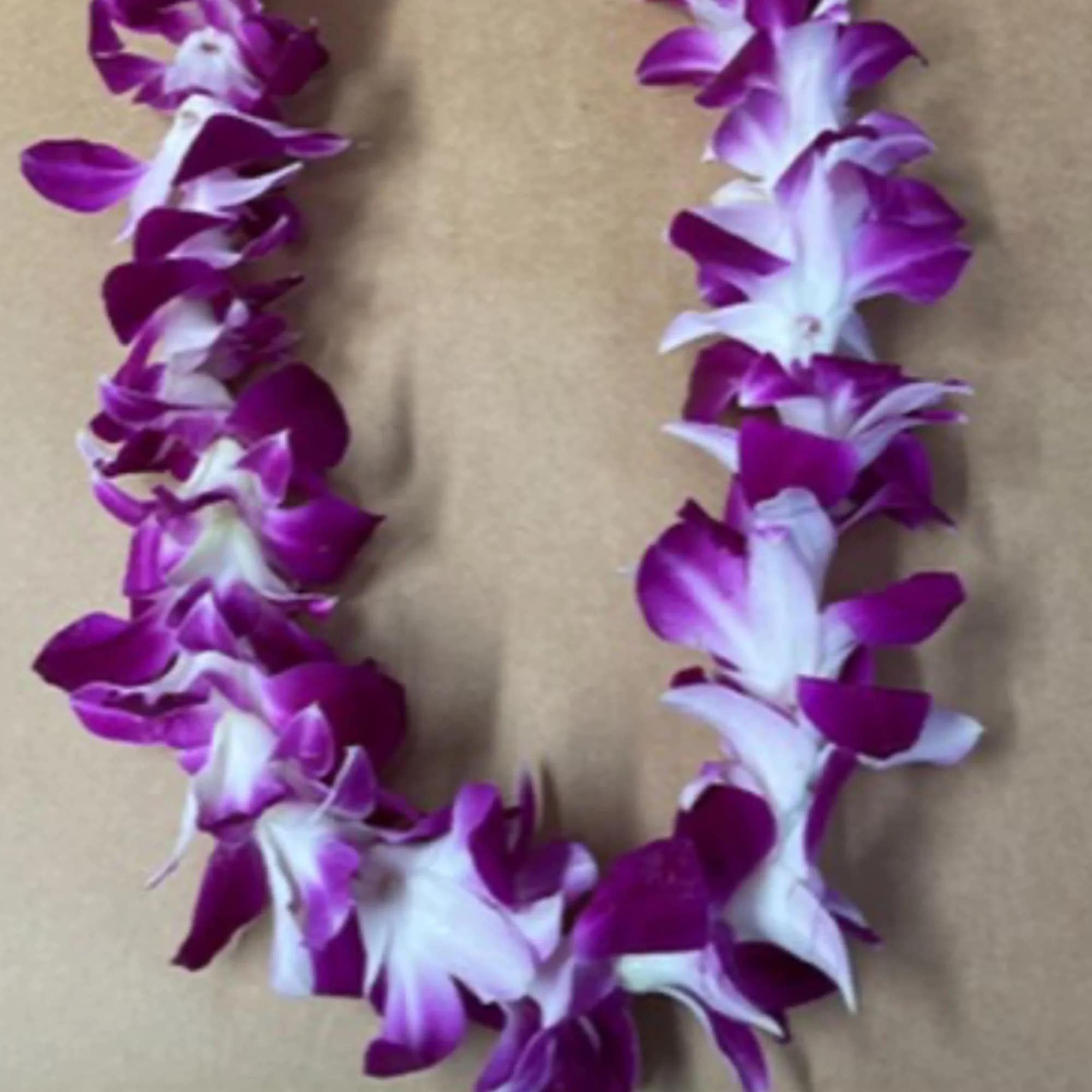 Purple and white orchid lei on a tan background