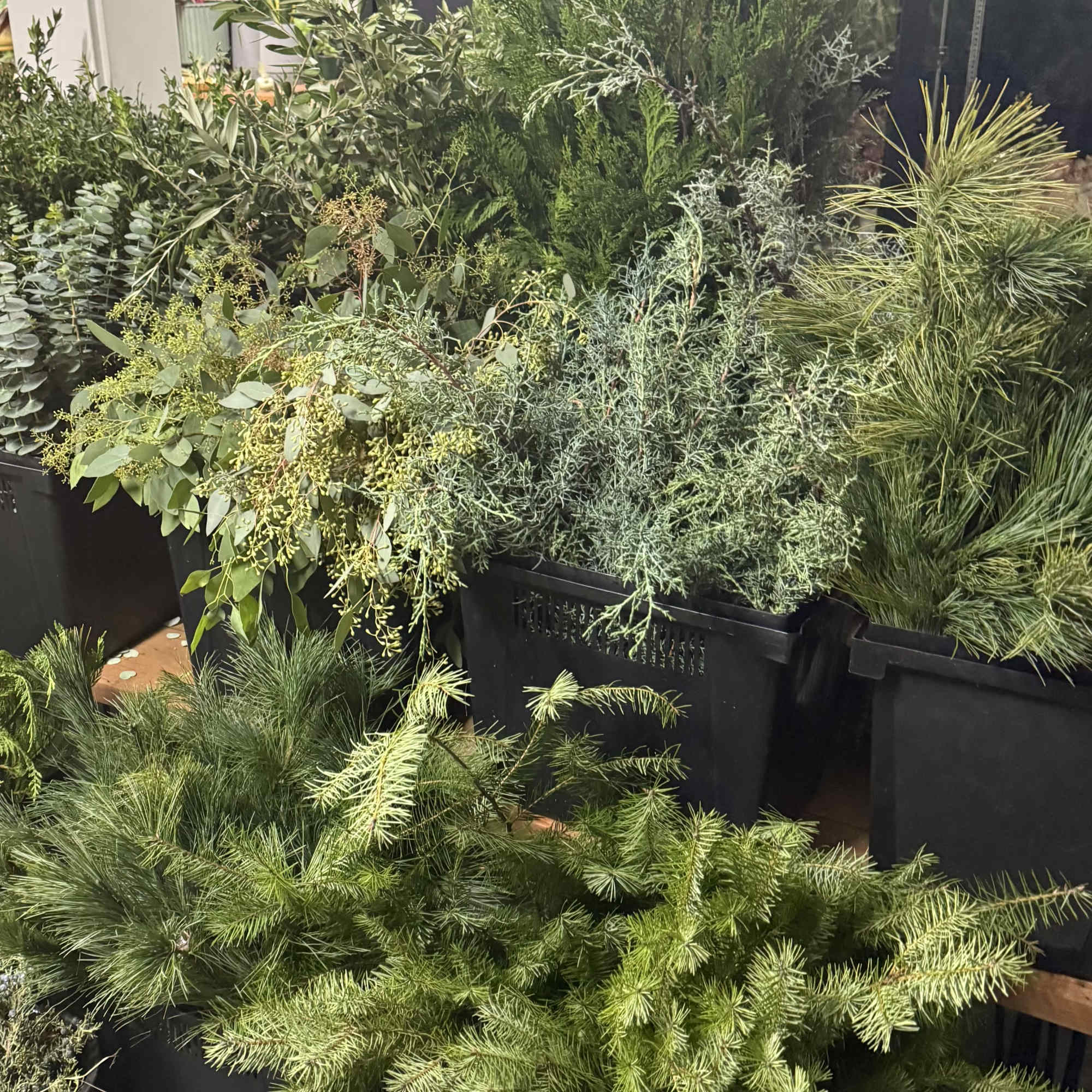 Bundles of assorted green foliage and pine branches in black bins