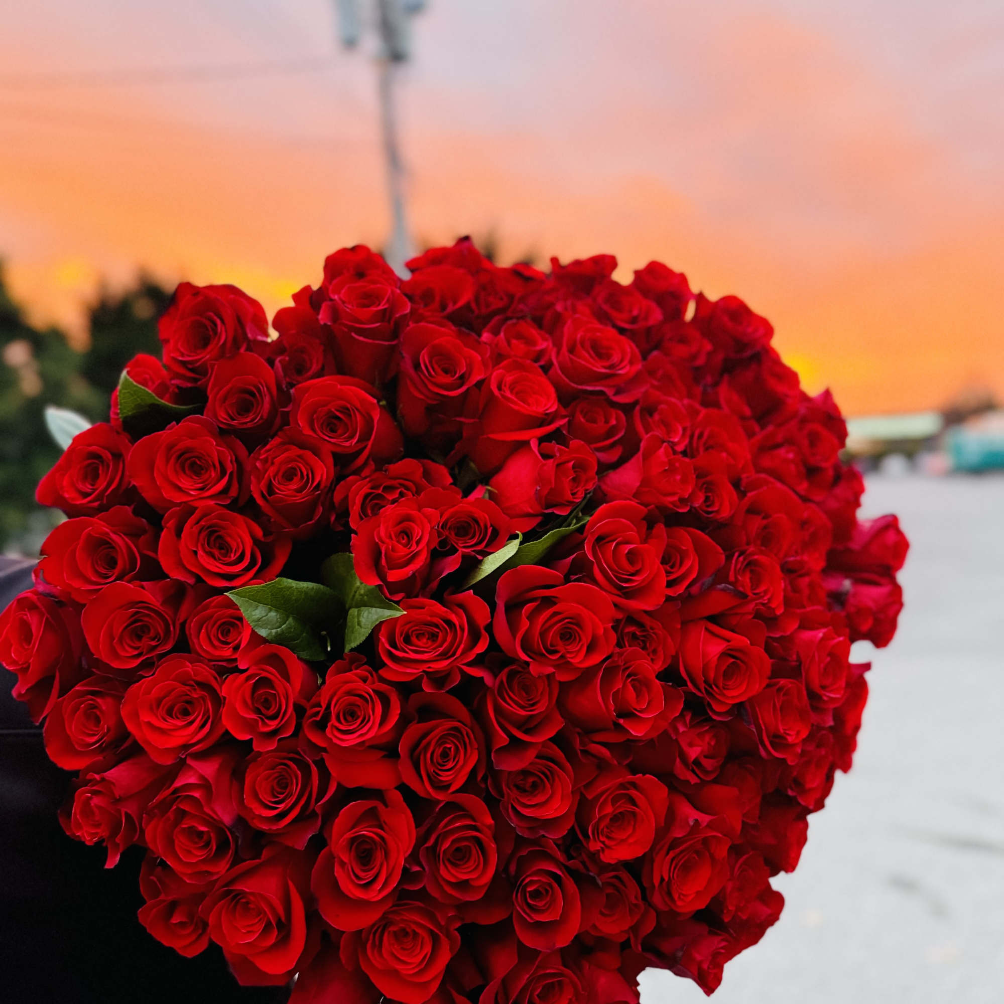 Large heart-shaped bouquet of tightly clustered red roses held outdoors at sunset