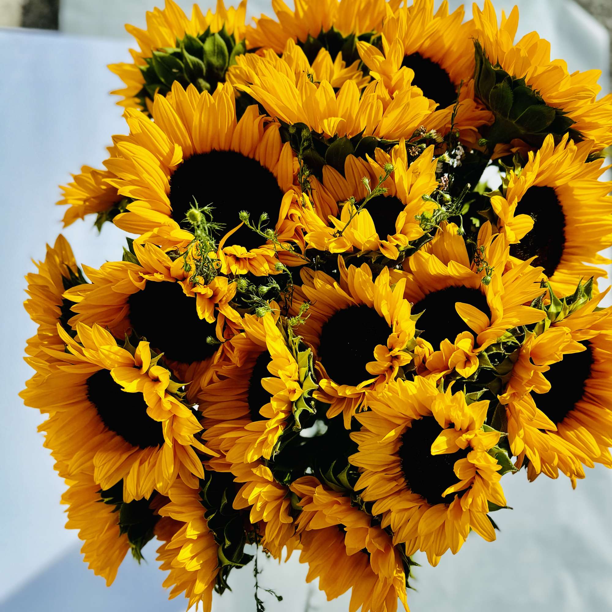 Hand-tied bouquet of bright yellow sunflowers with dark centers viewed from above