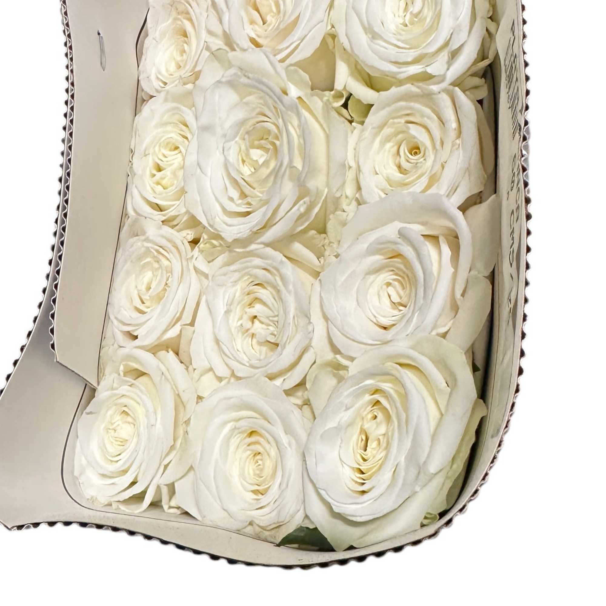 Box of white roses arranged tightly in a cardboard gift box