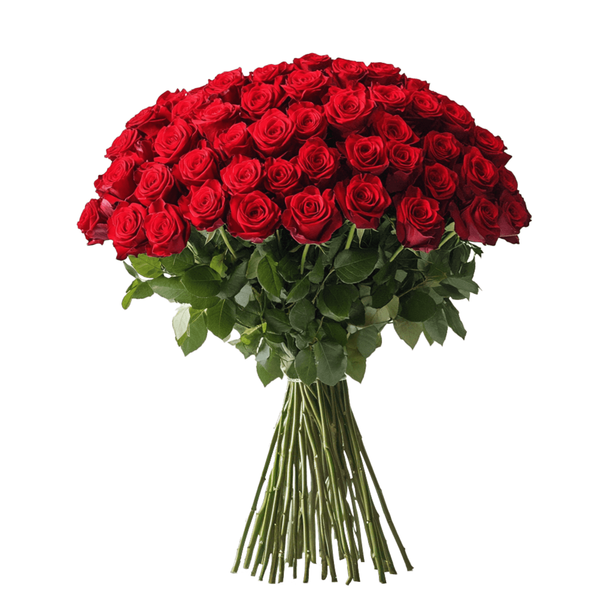 Large bouquet of red roses with long stems