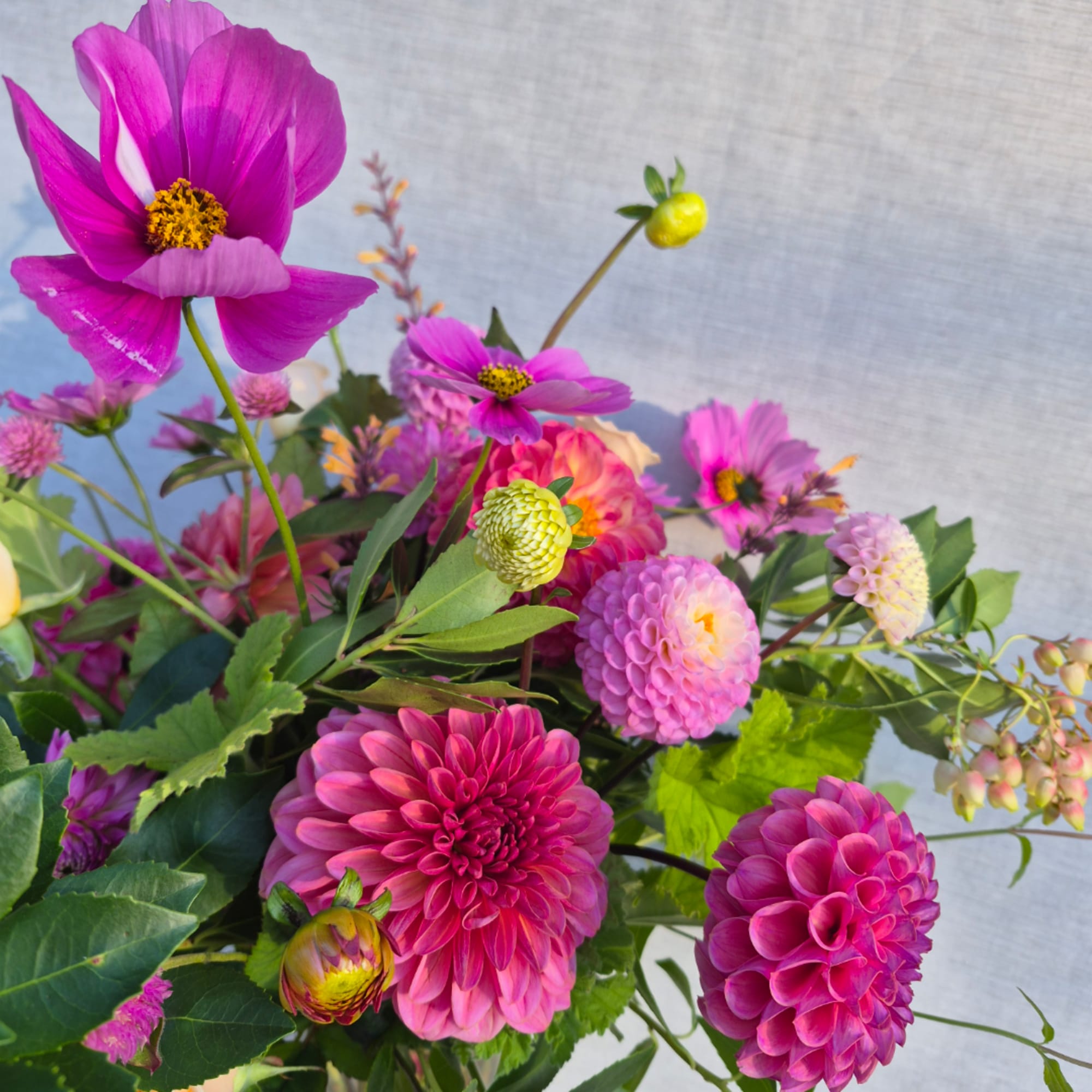 Pink and purple mixed bouquet with dahlias and cosmos flowers