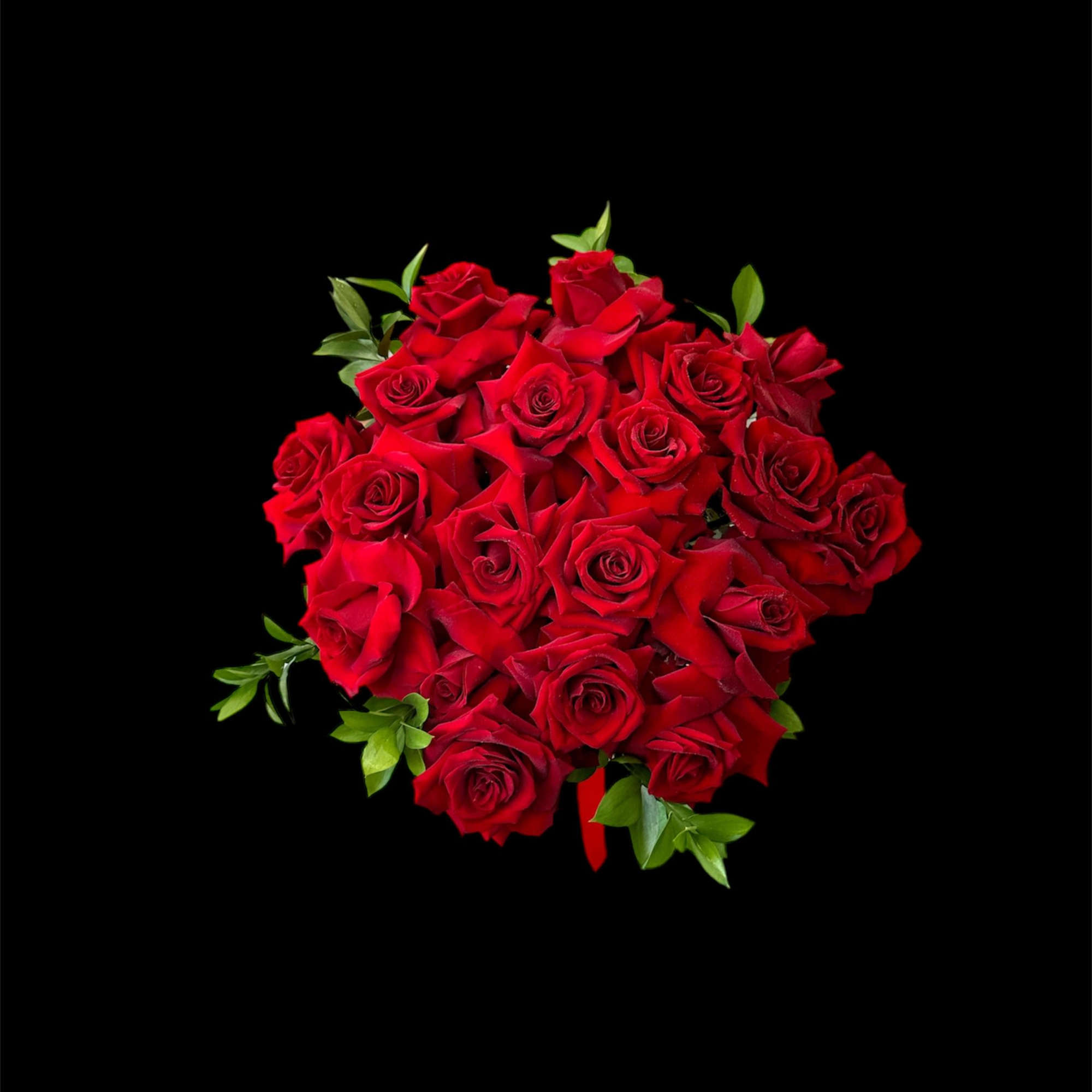 Bouquet of red roses with small green accents on a black background