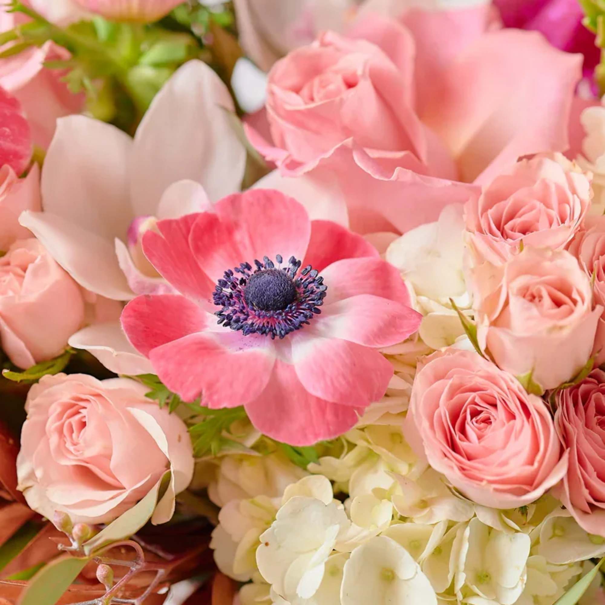 Pink roses and white hydrangeas with a pink anemone in a bouquet