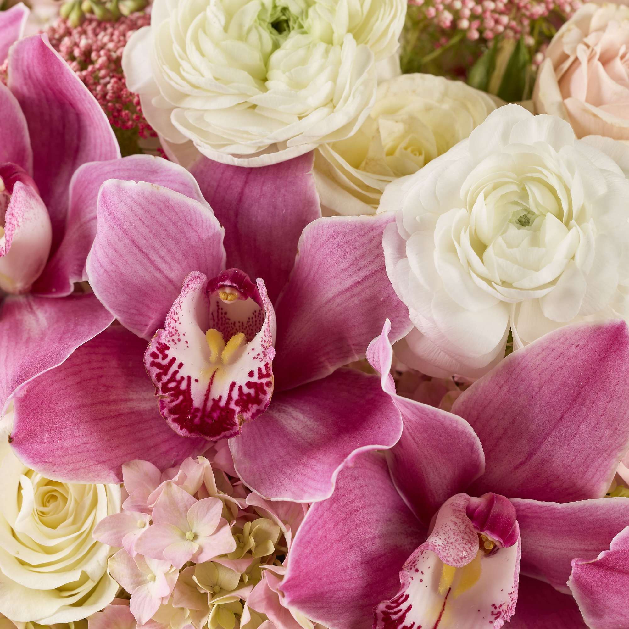 Pink orchids with white ranunculus and pale roses in a close bouquet