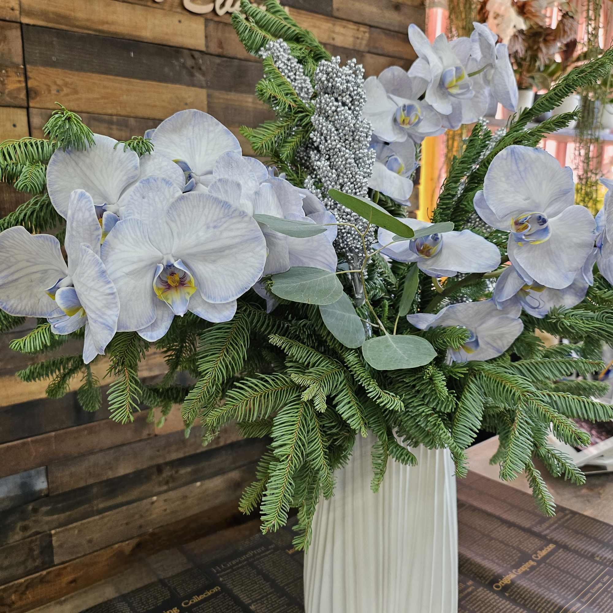 White orchid arrangement in a tall ribbed vase with evergreen branches