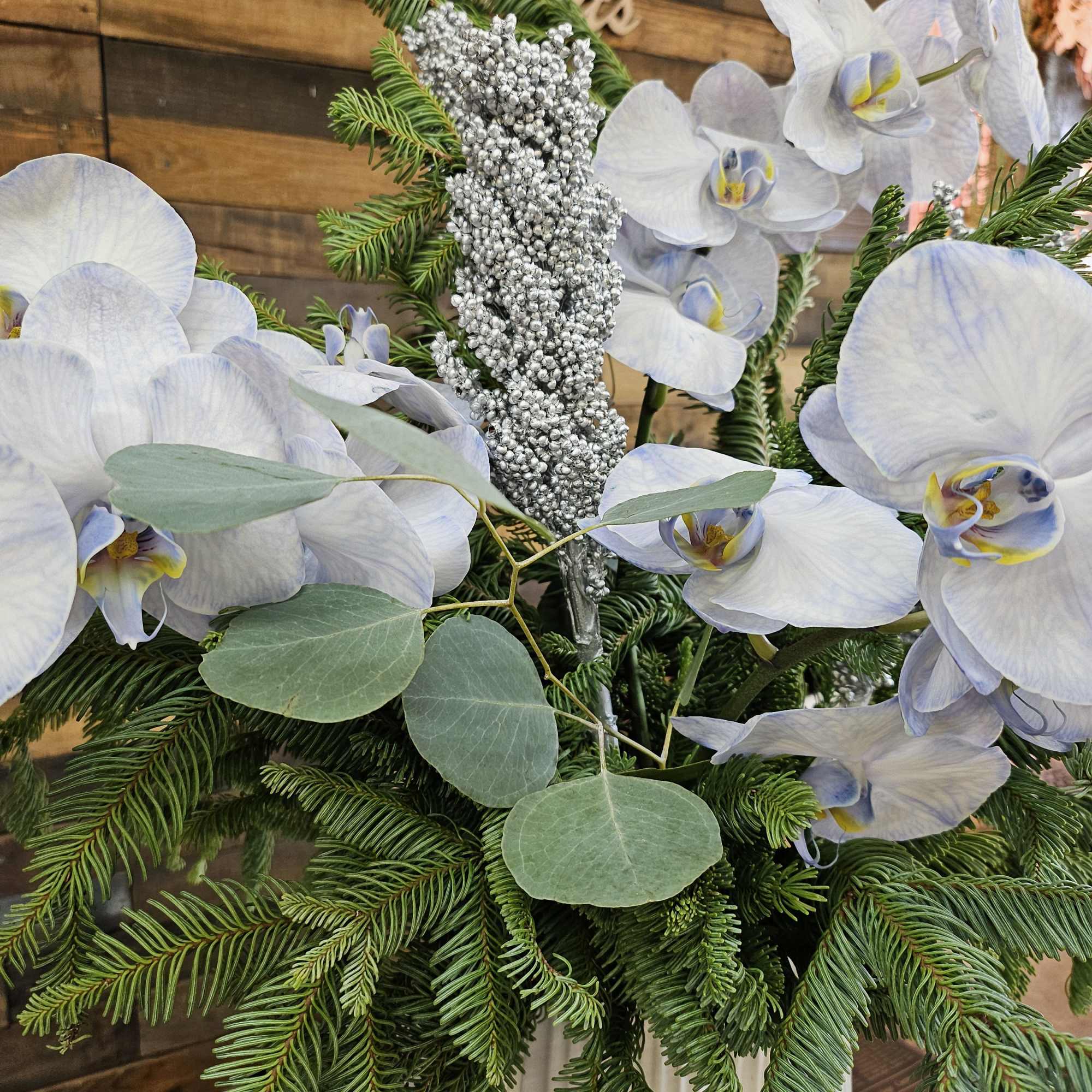 White orchids arranged with evergreen foliage in a tall vase