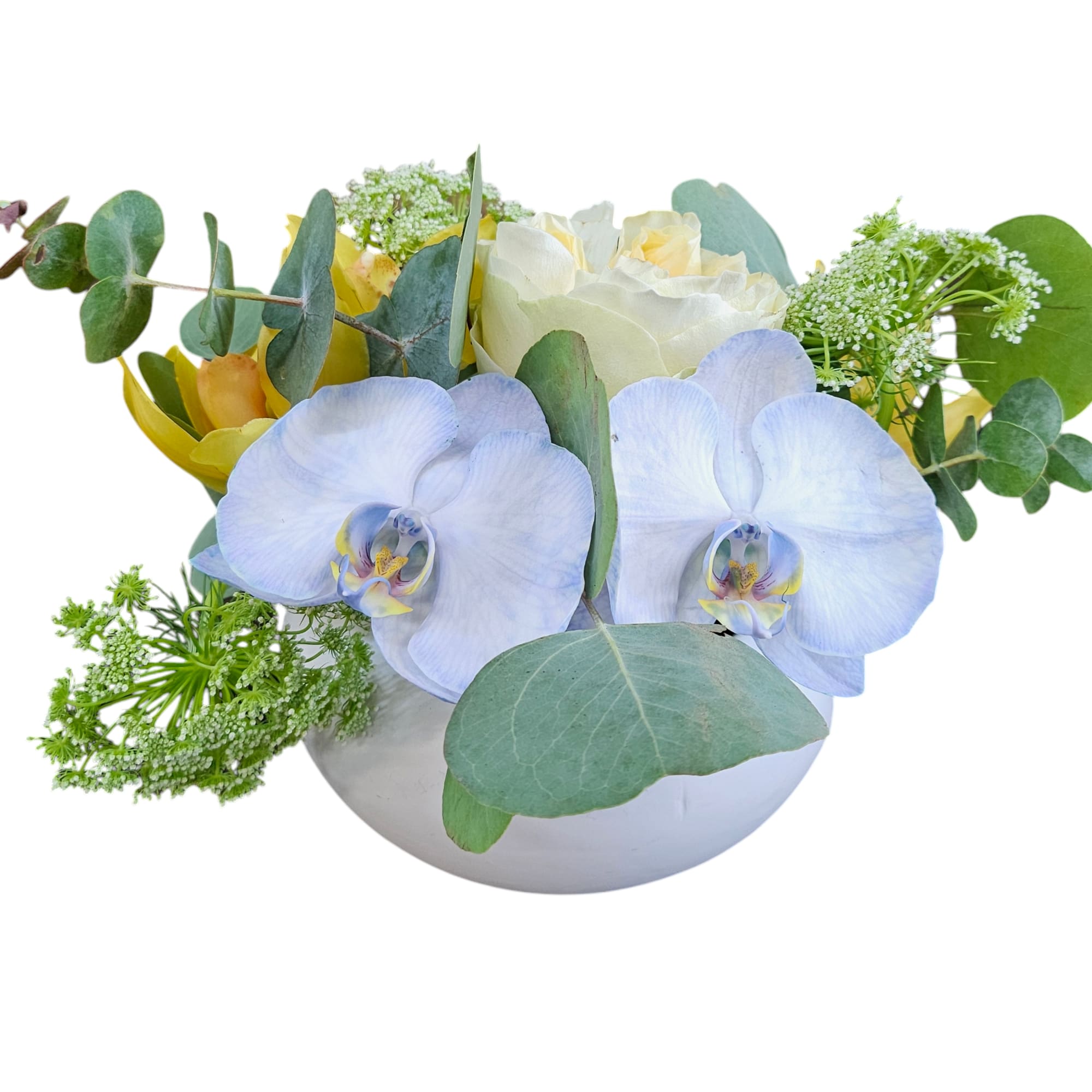 White and pale blue orchids in a white bowl vase with greenery