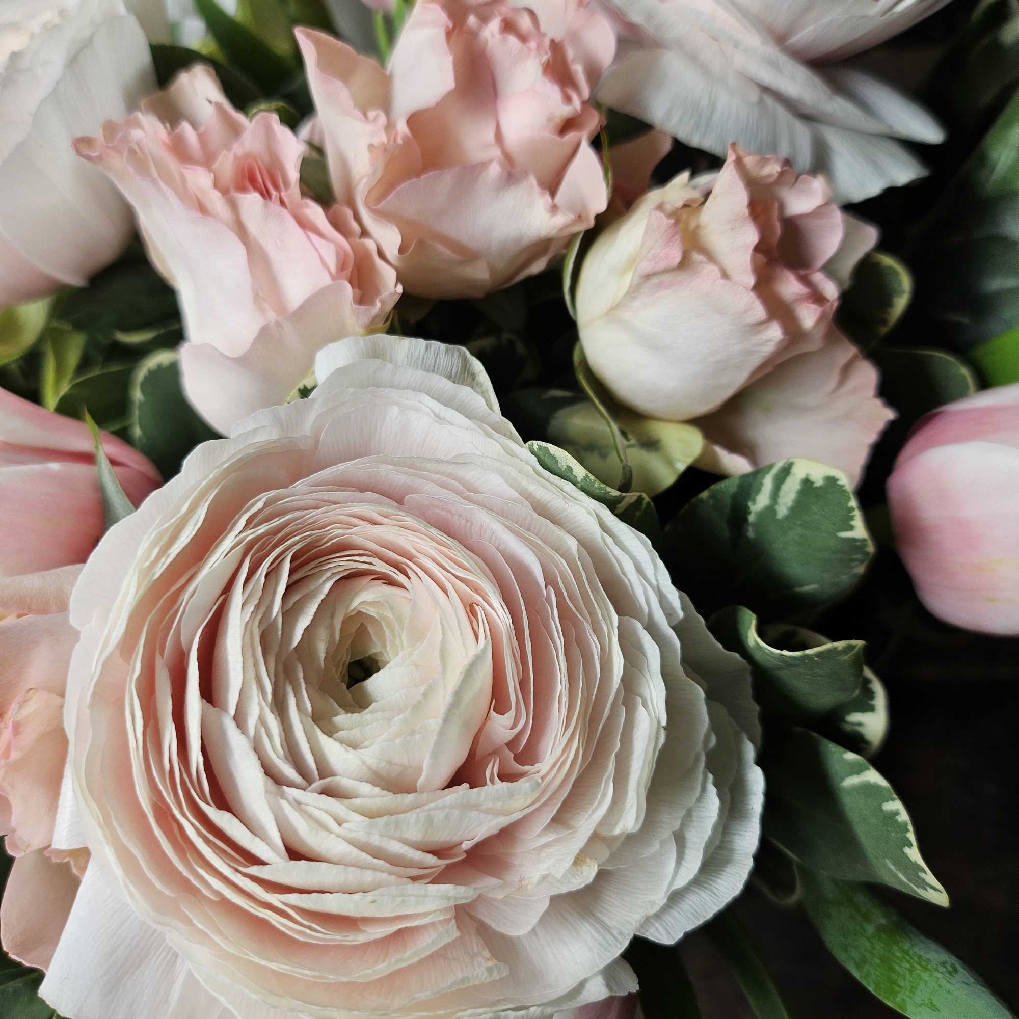 Bouquet of pale pink and white ranunculus flowers, photo 2 of 4