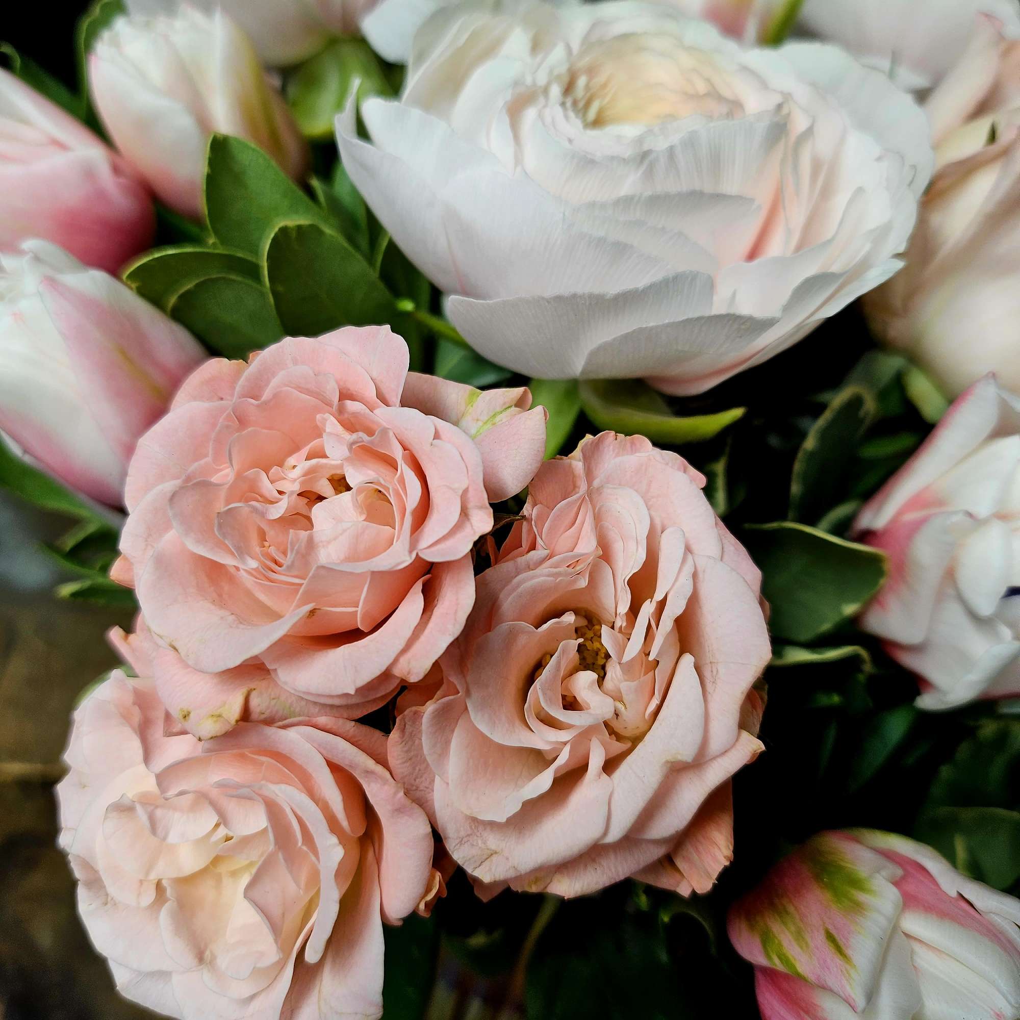 Bouquet of pale pink and white roses with green foliage