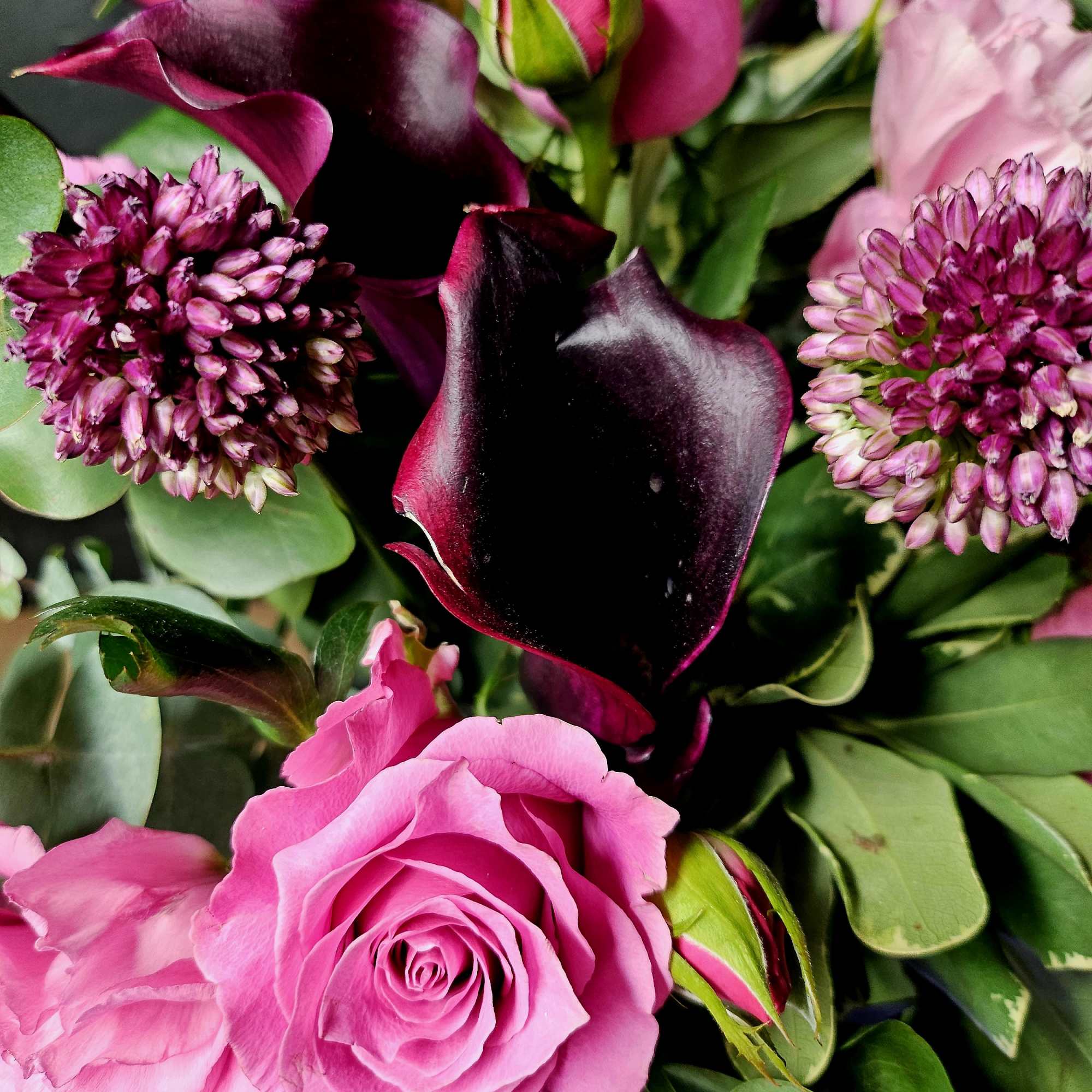 Pink roses and dark calla lilies in a mixed bouquet