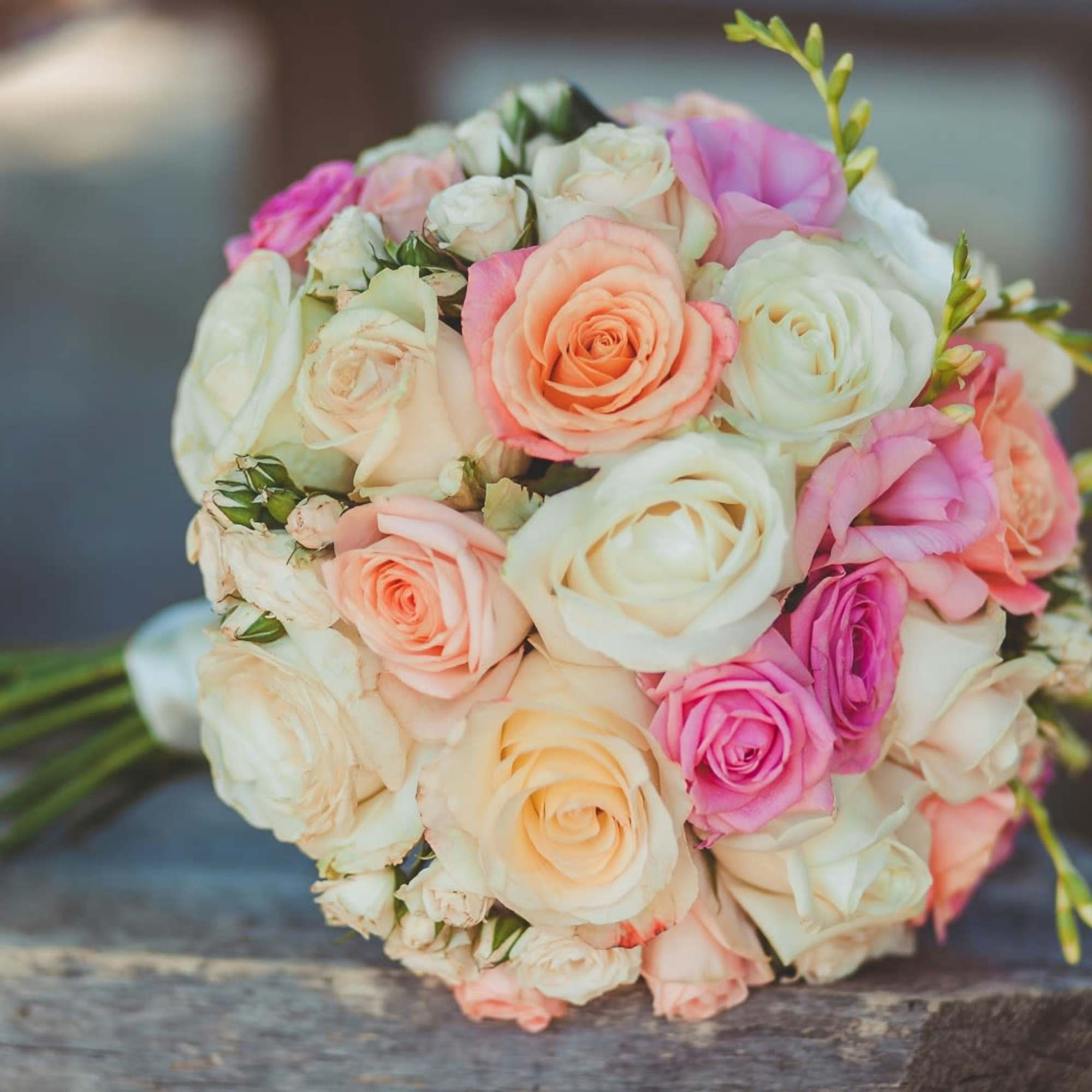 Bouquet of pastel roses in cream, peach, and pink