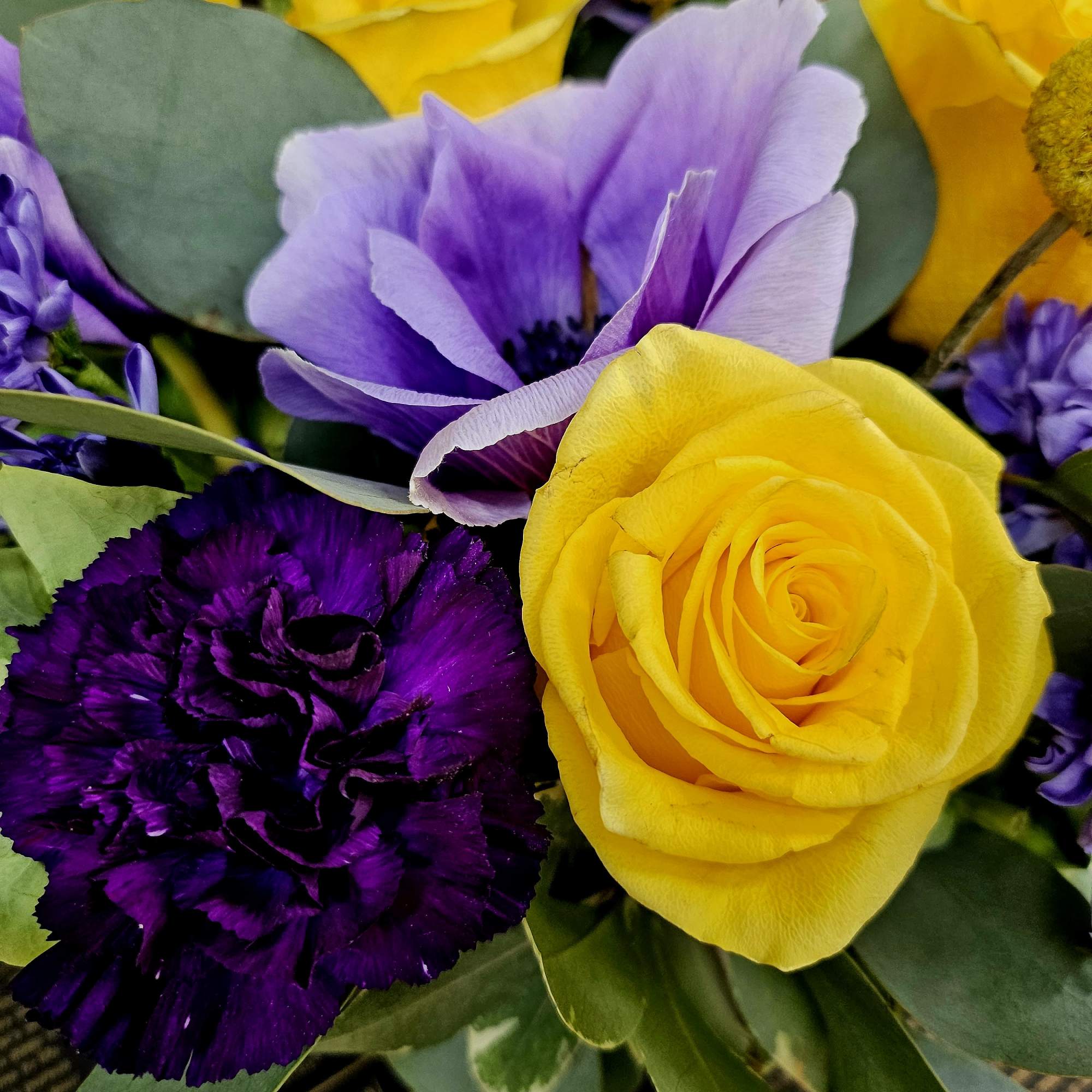 Bouquet of yellow roses, purple carnations, and lavender flowers
