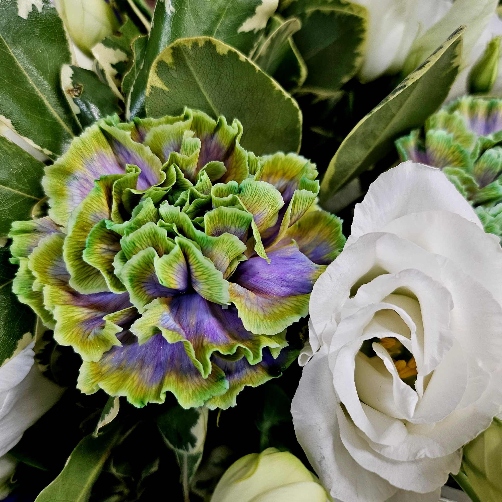 Close-up bouquet with white and green-purple ruffled flowers