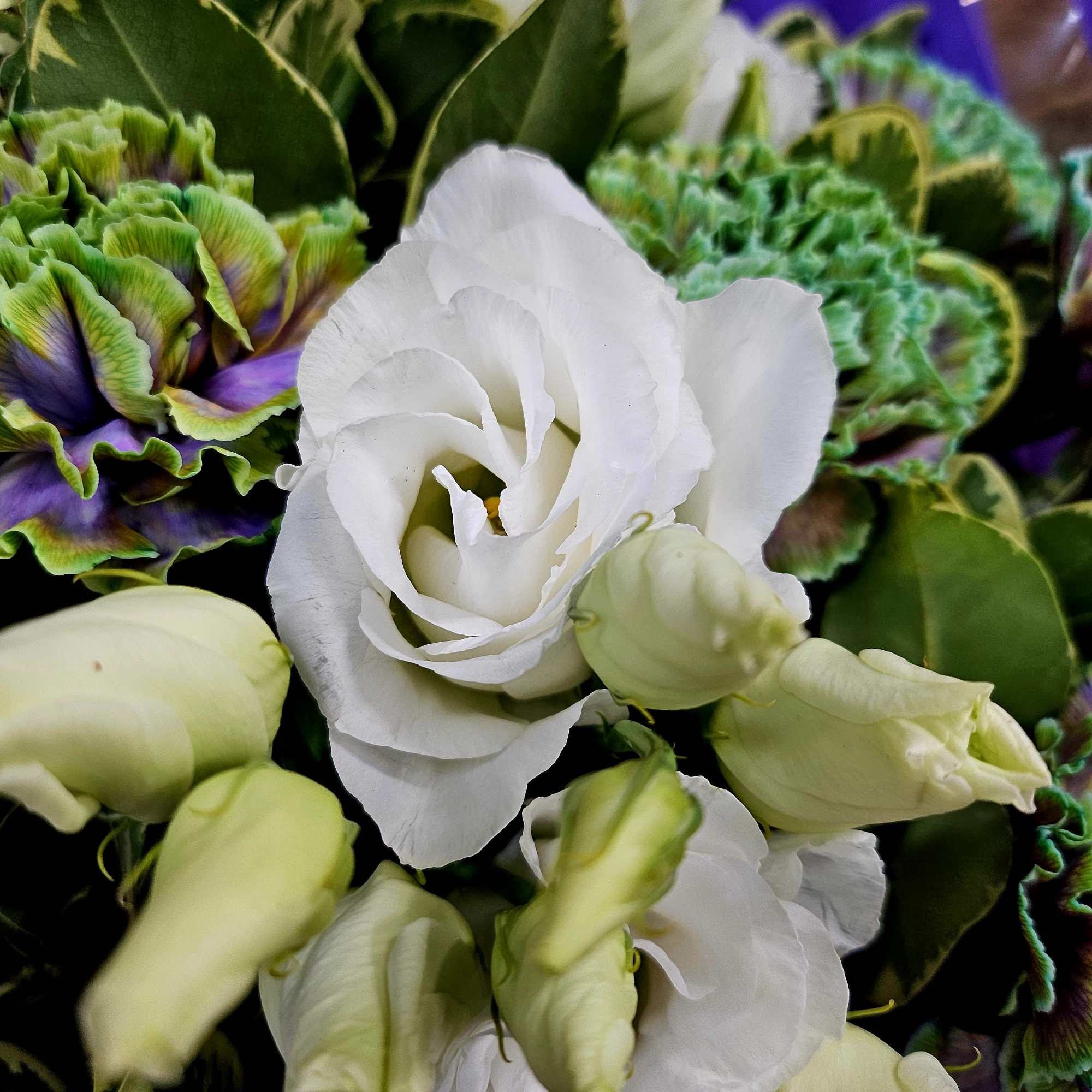 White lisianthus and green-edged carnations in a bouquet