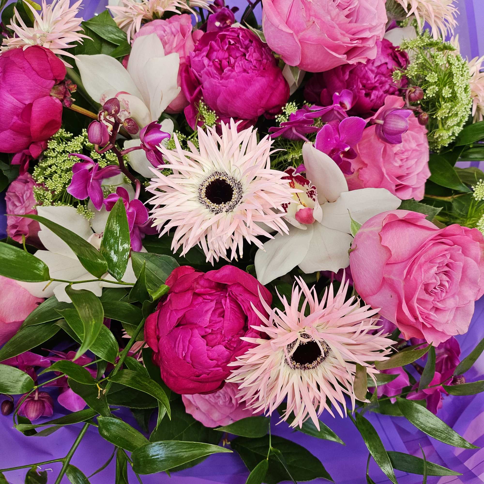 Pink and magenta bouquet with orchids and roses in purple wrap