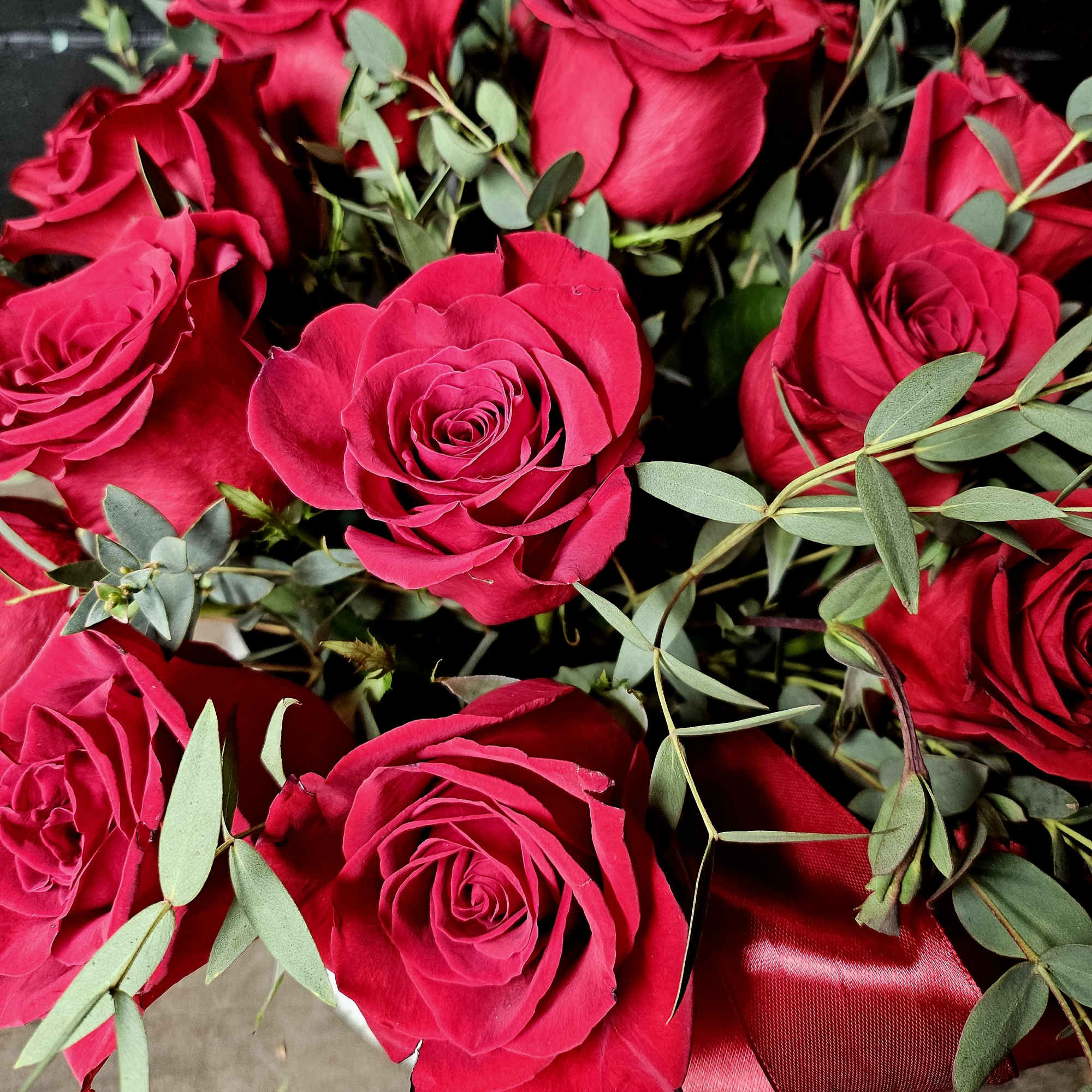 Close-up bouquet of red roses with eucalyptus and a red ribbon