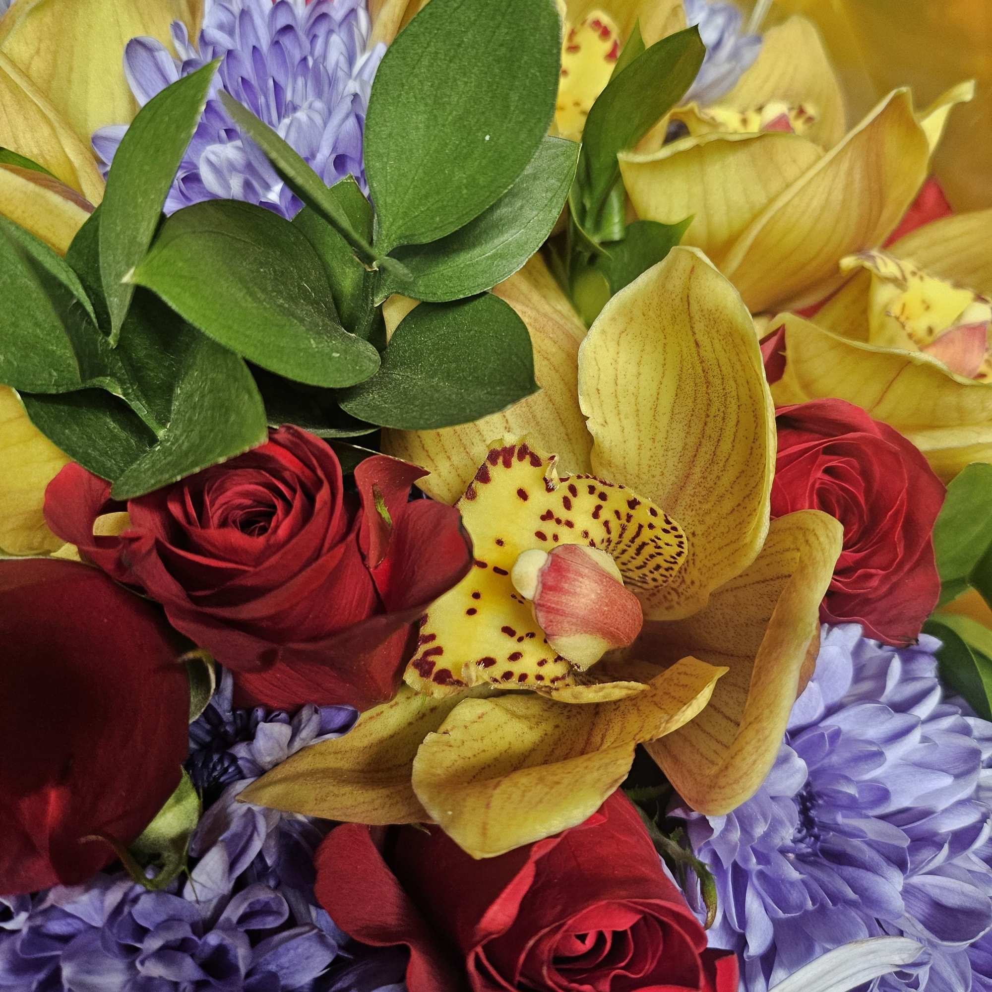 Bouquet of red roses, yellow orchids, and purple flowers