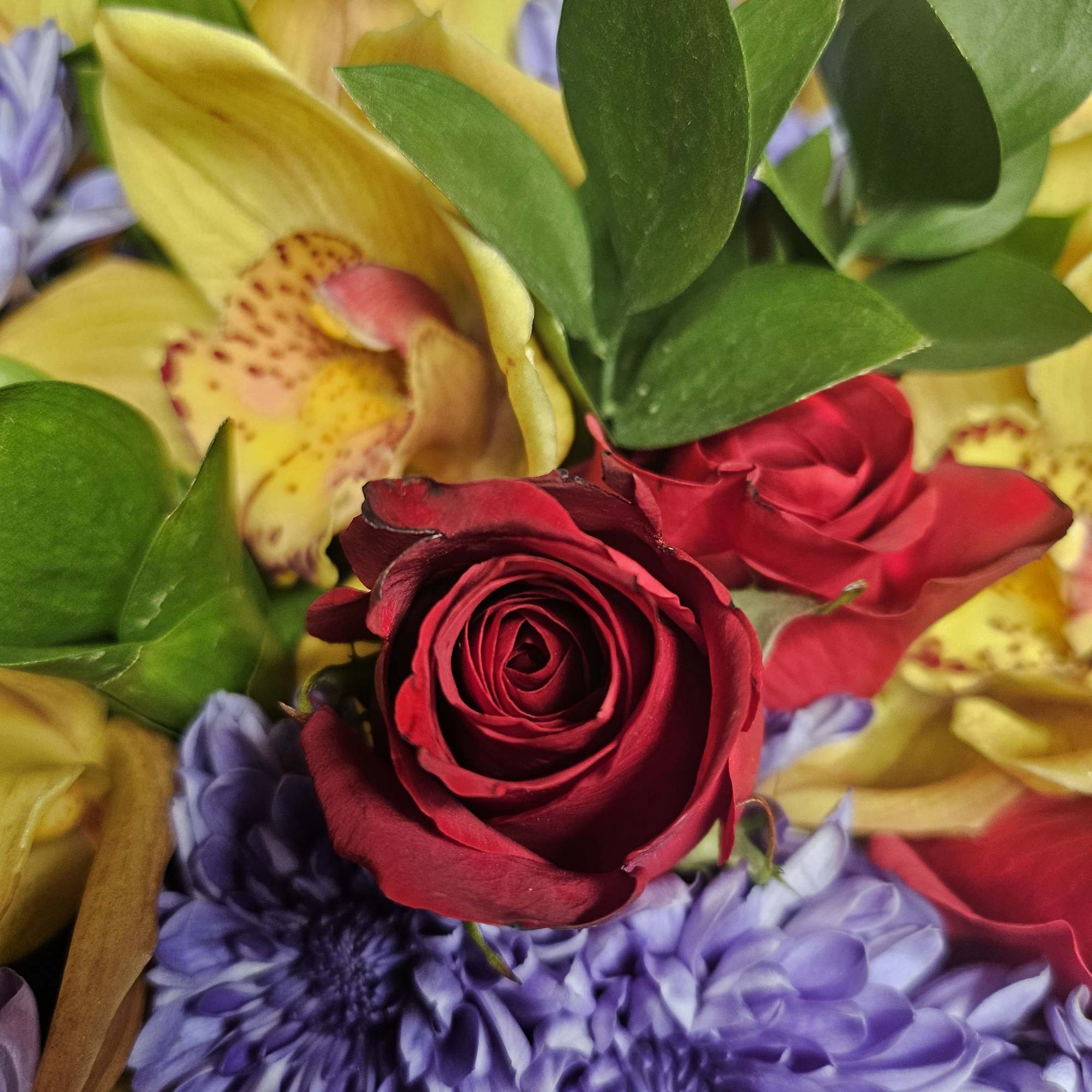Close-up bouquet of red roses, yellow orchids, and purple daisies