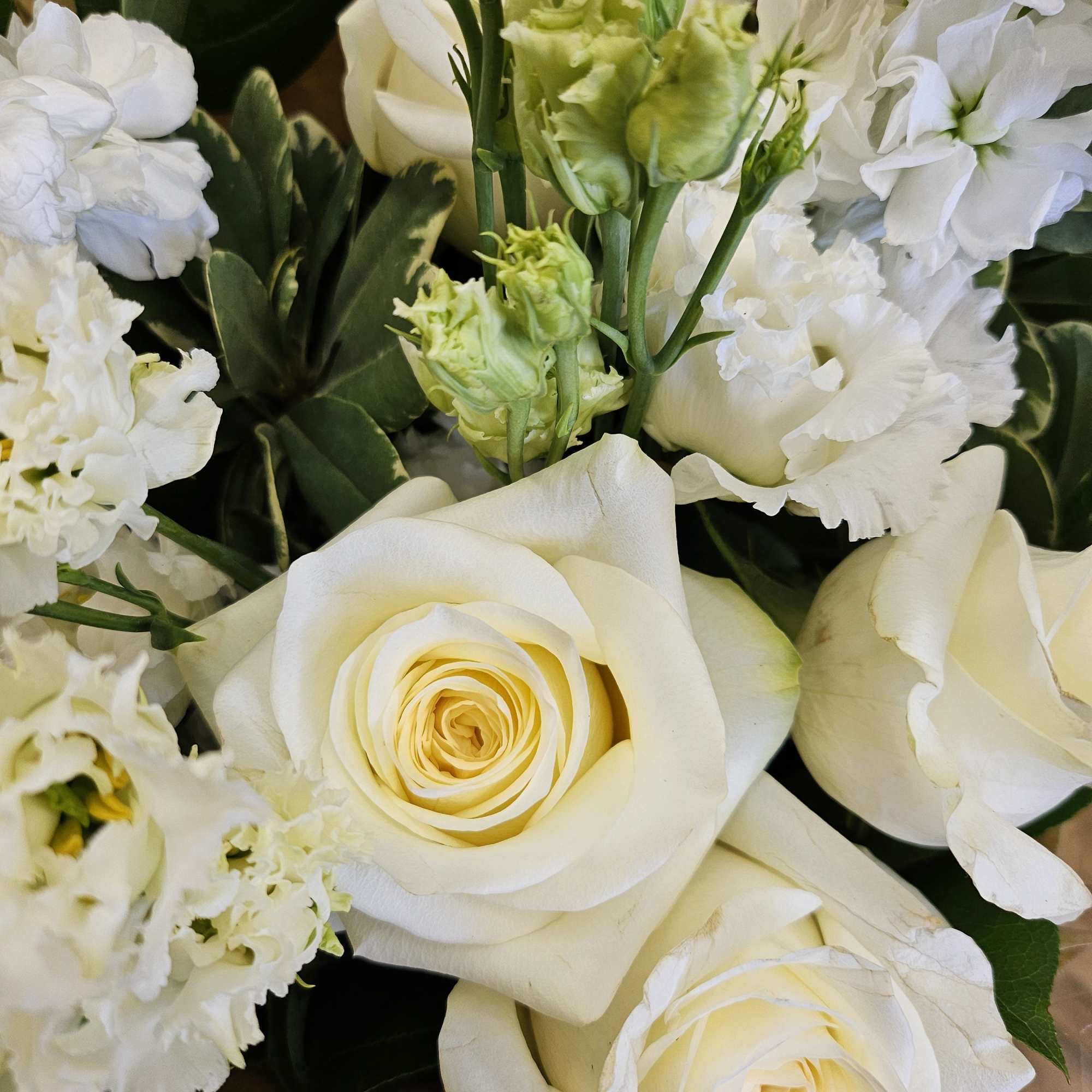 White roses and white ruffled blooms with green accents in a bouquet