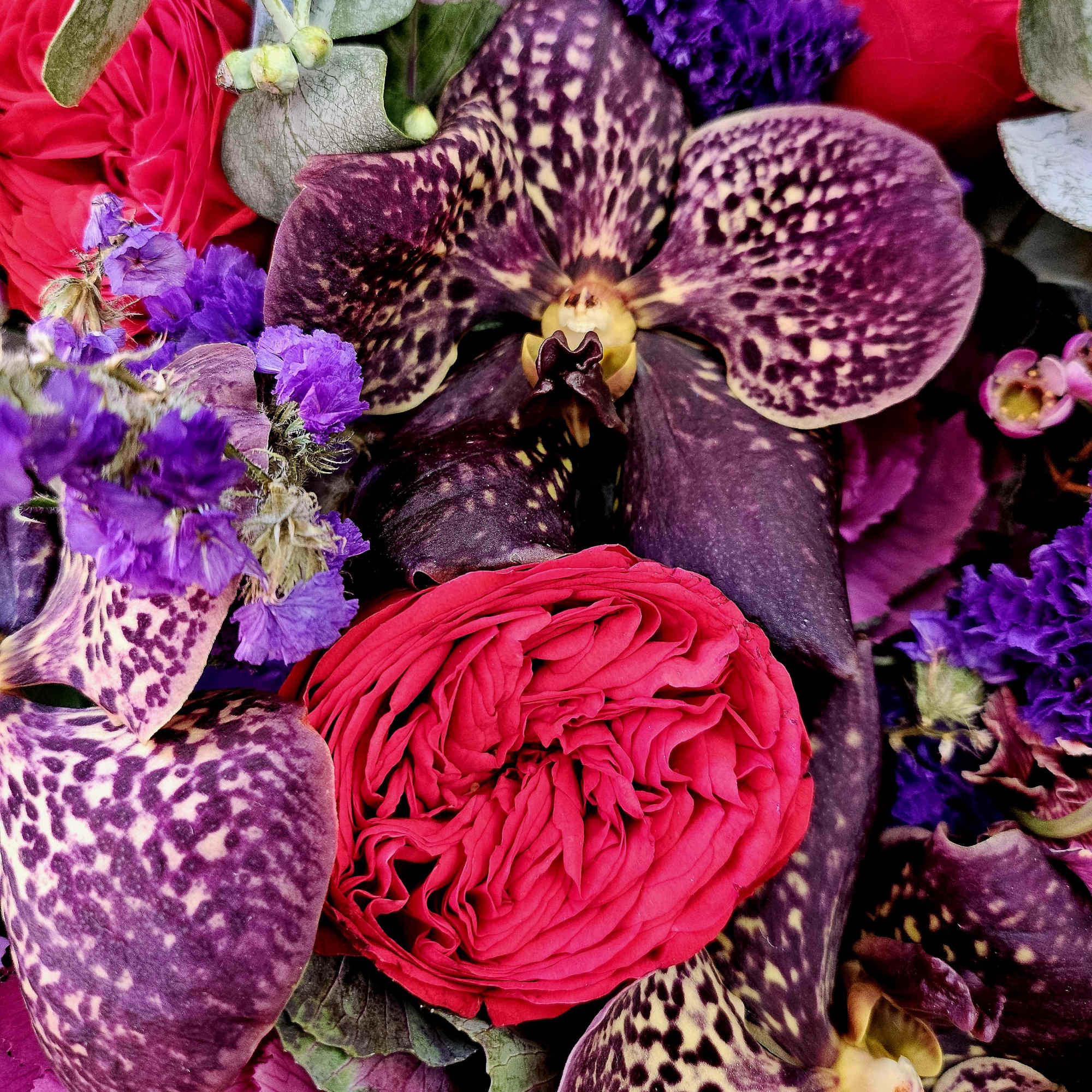 Close-up bouquet with pink roses and purple spotted orchids