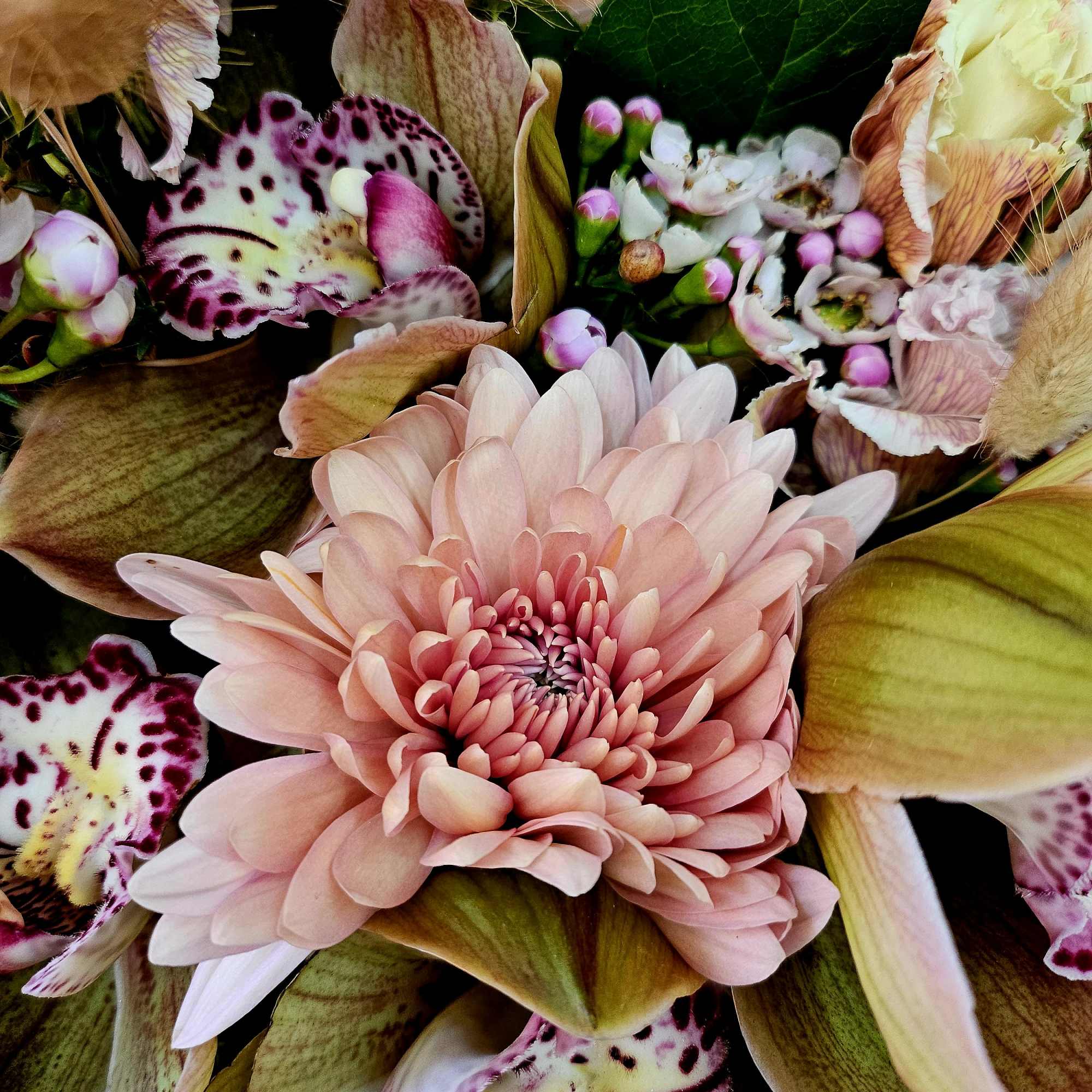 Close-up bouquet with a pink chrysanthemum and spotted orchid blooms