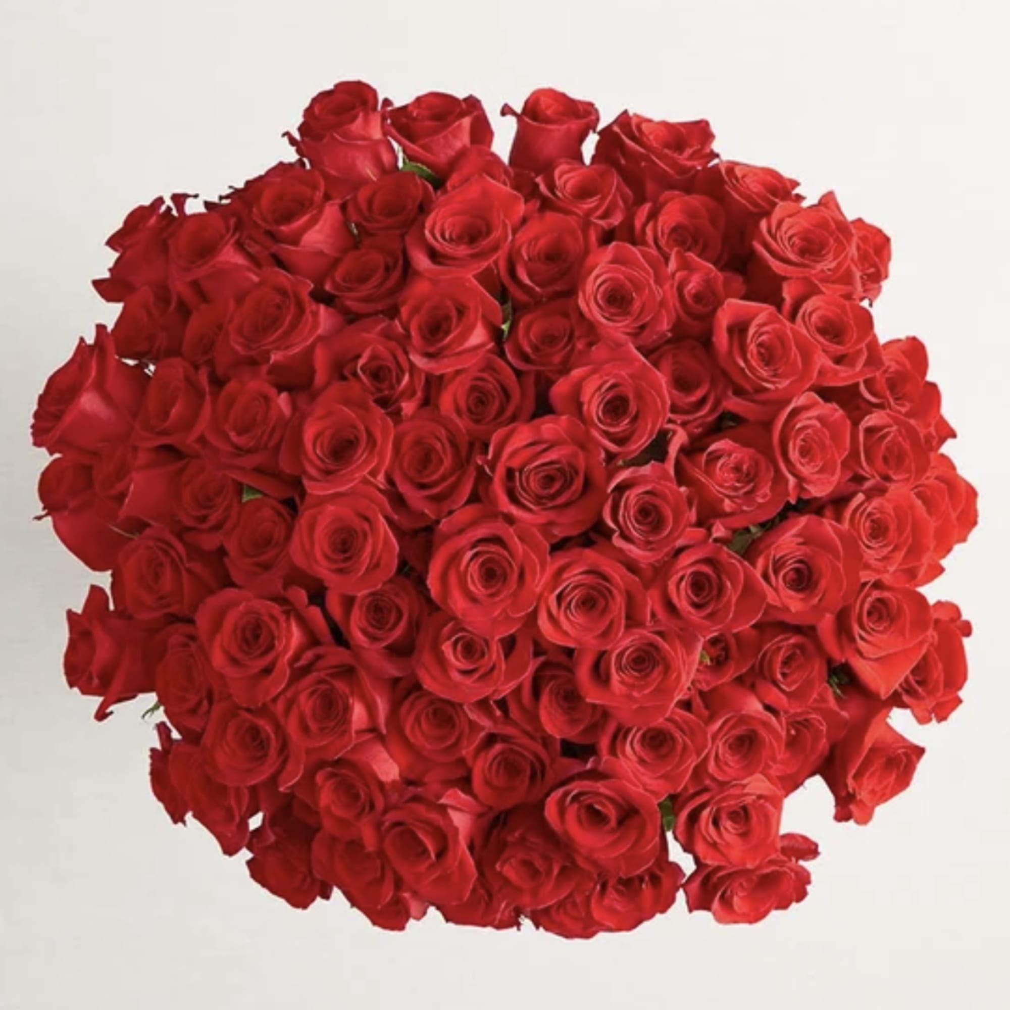 Large, tightly clustered bouquet of red roses viewed from above against a light background