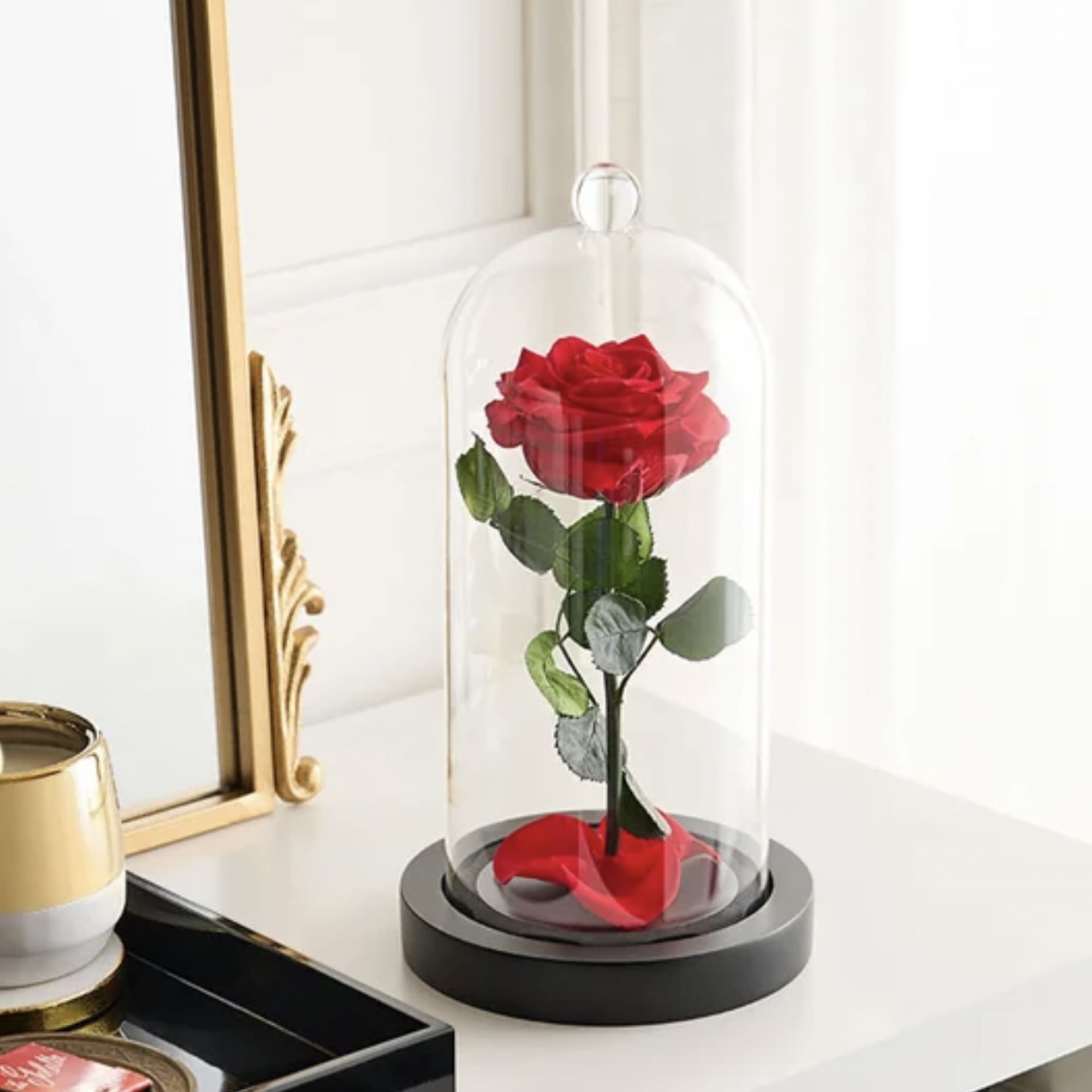 Single red rose under a glass dome on a black base