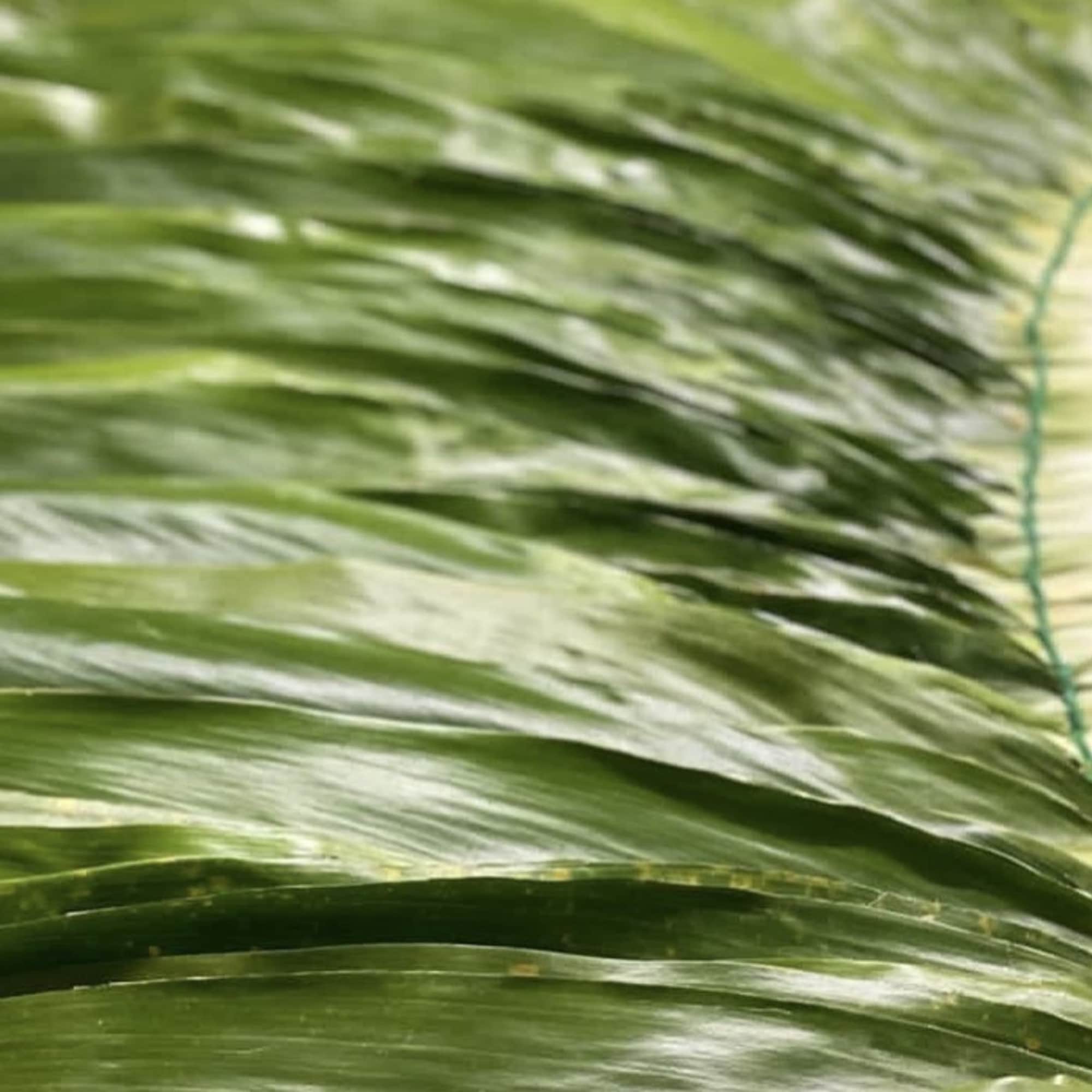 Layered long green leaves bound together with green twine
