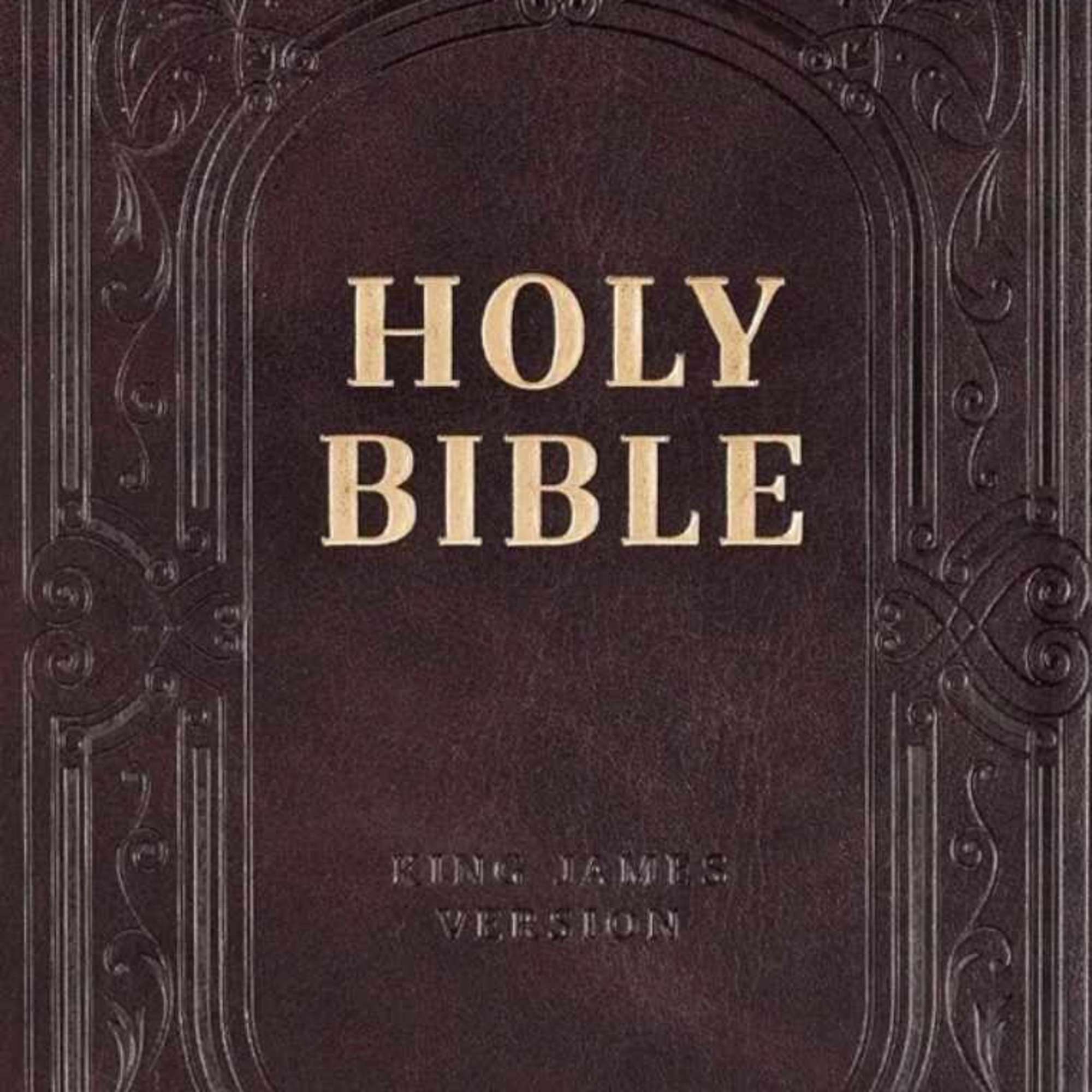 A dark brown Holy Bible cover with ornate embossed borders